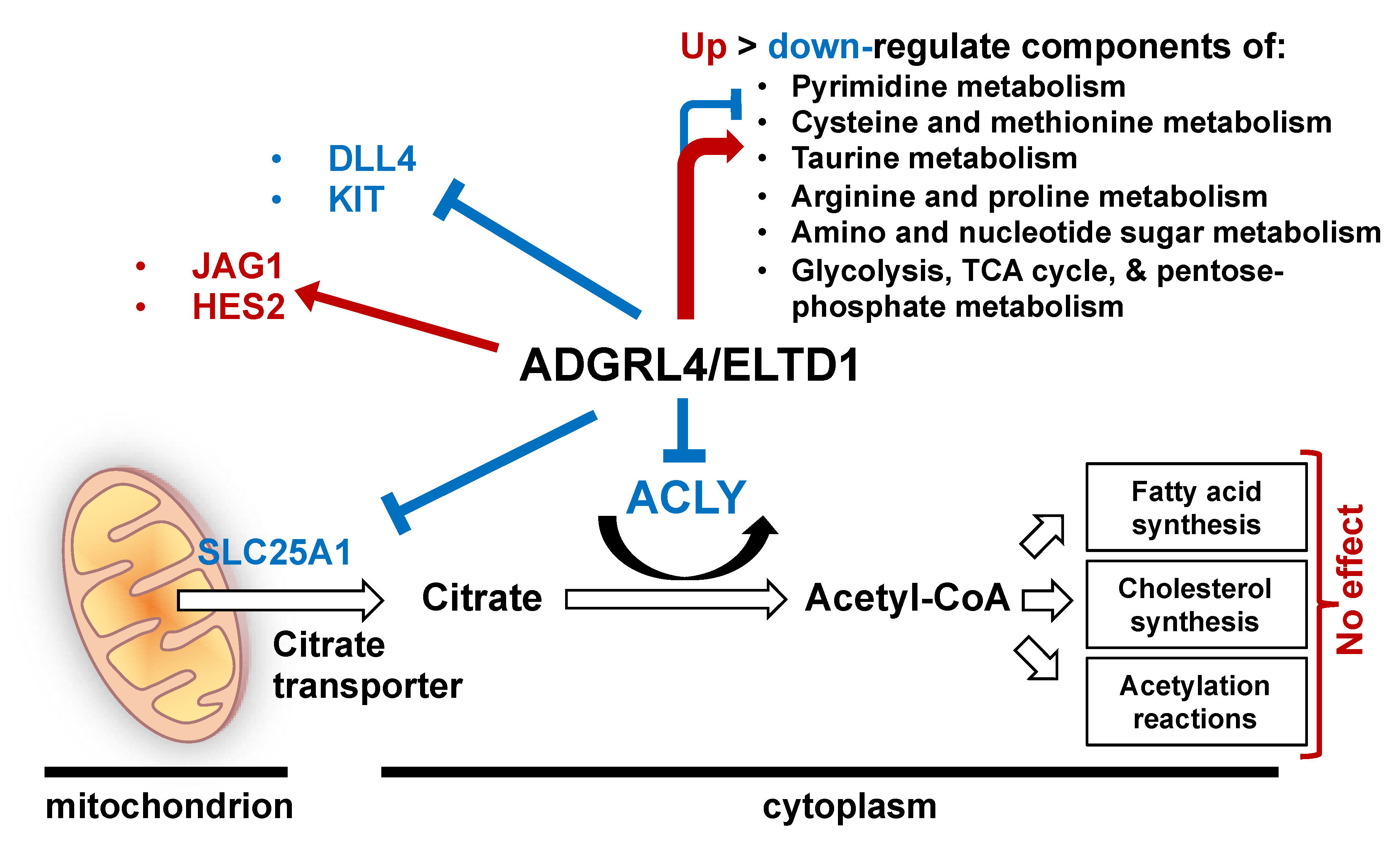Metabolites 09 00287 g004 Metabolites 09 00287 g004