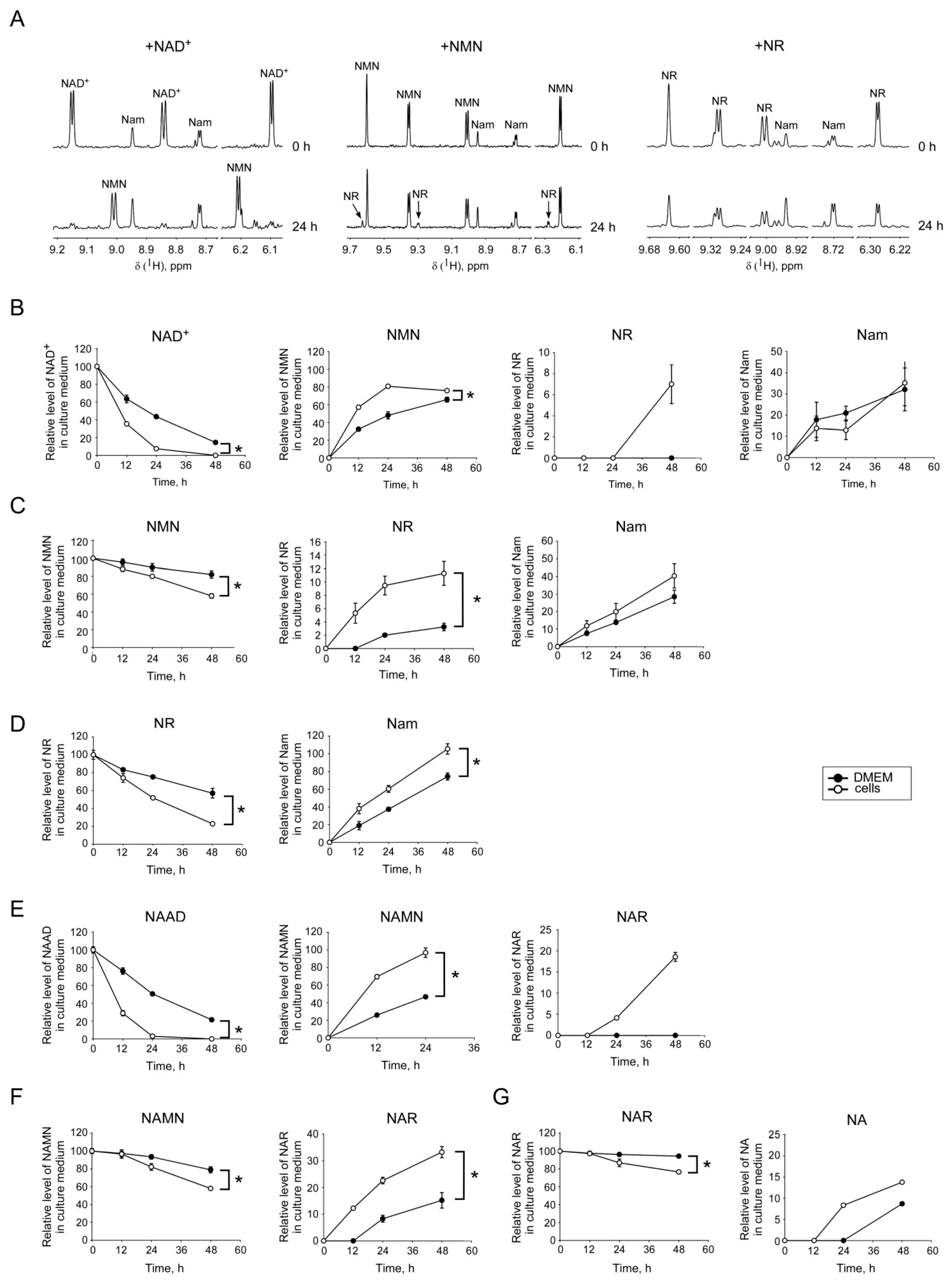 Metabolites 09 00293 g003