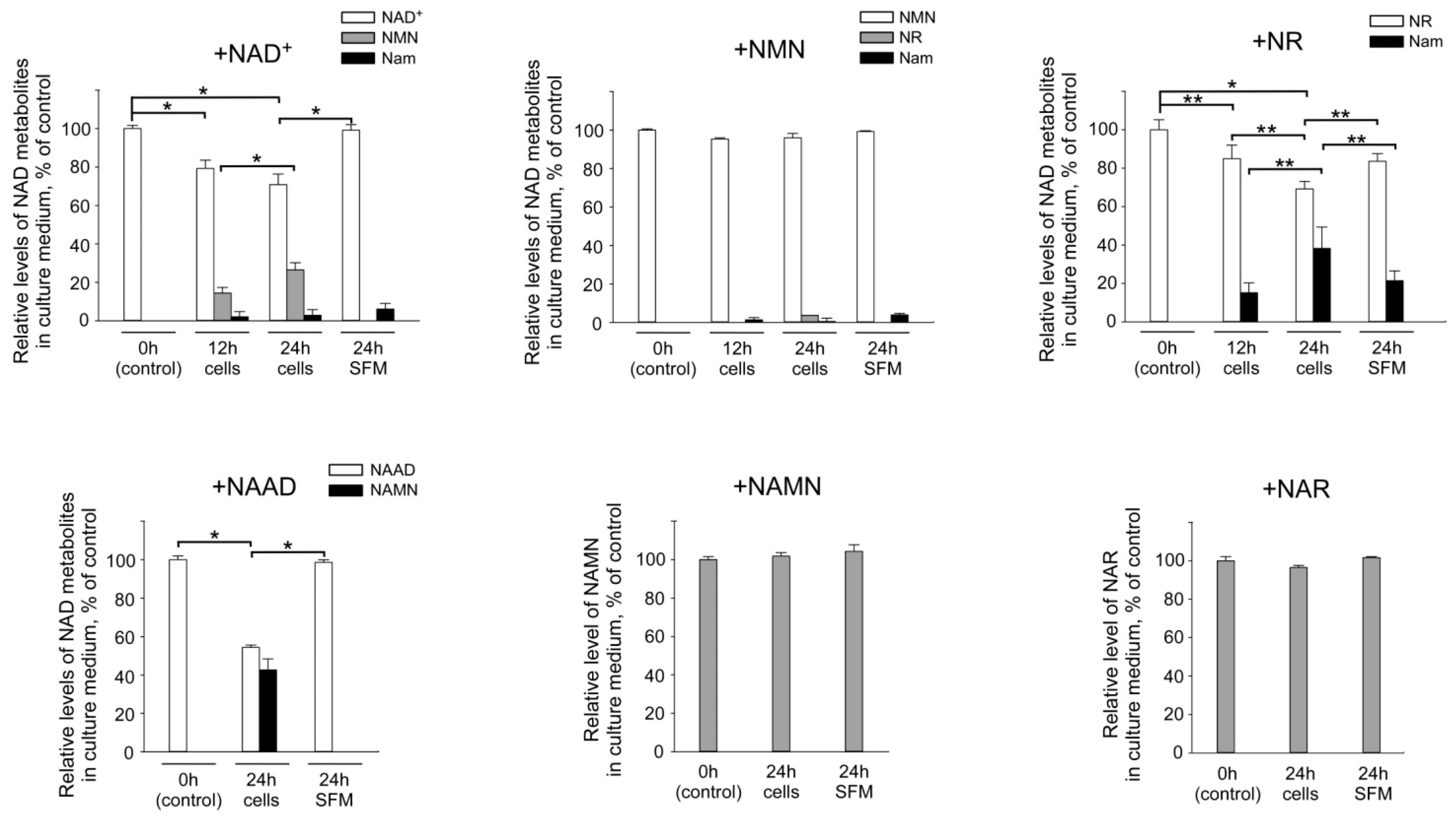 Metabolites 09 00293 g005