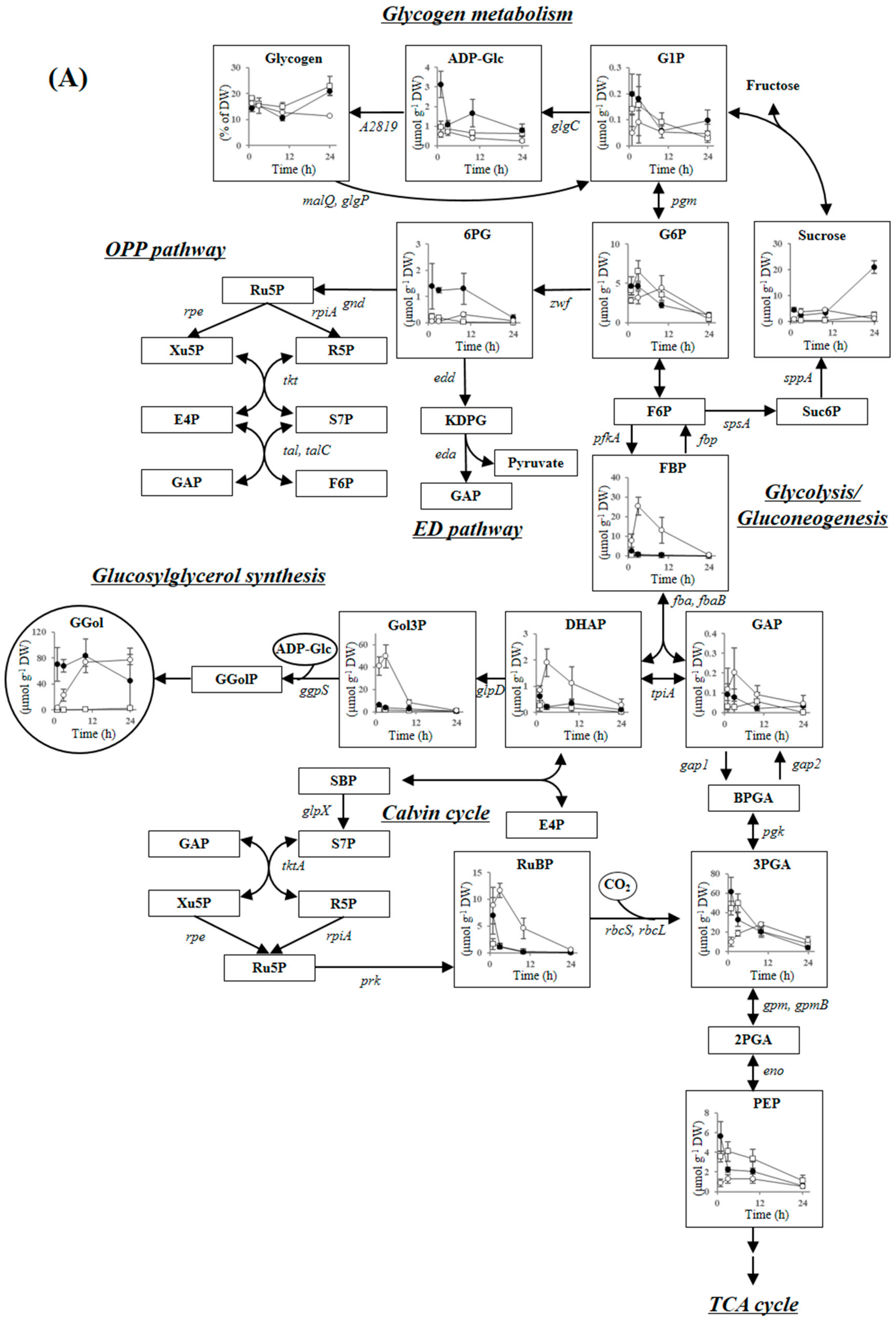 Metabolites 09 00297 g002a