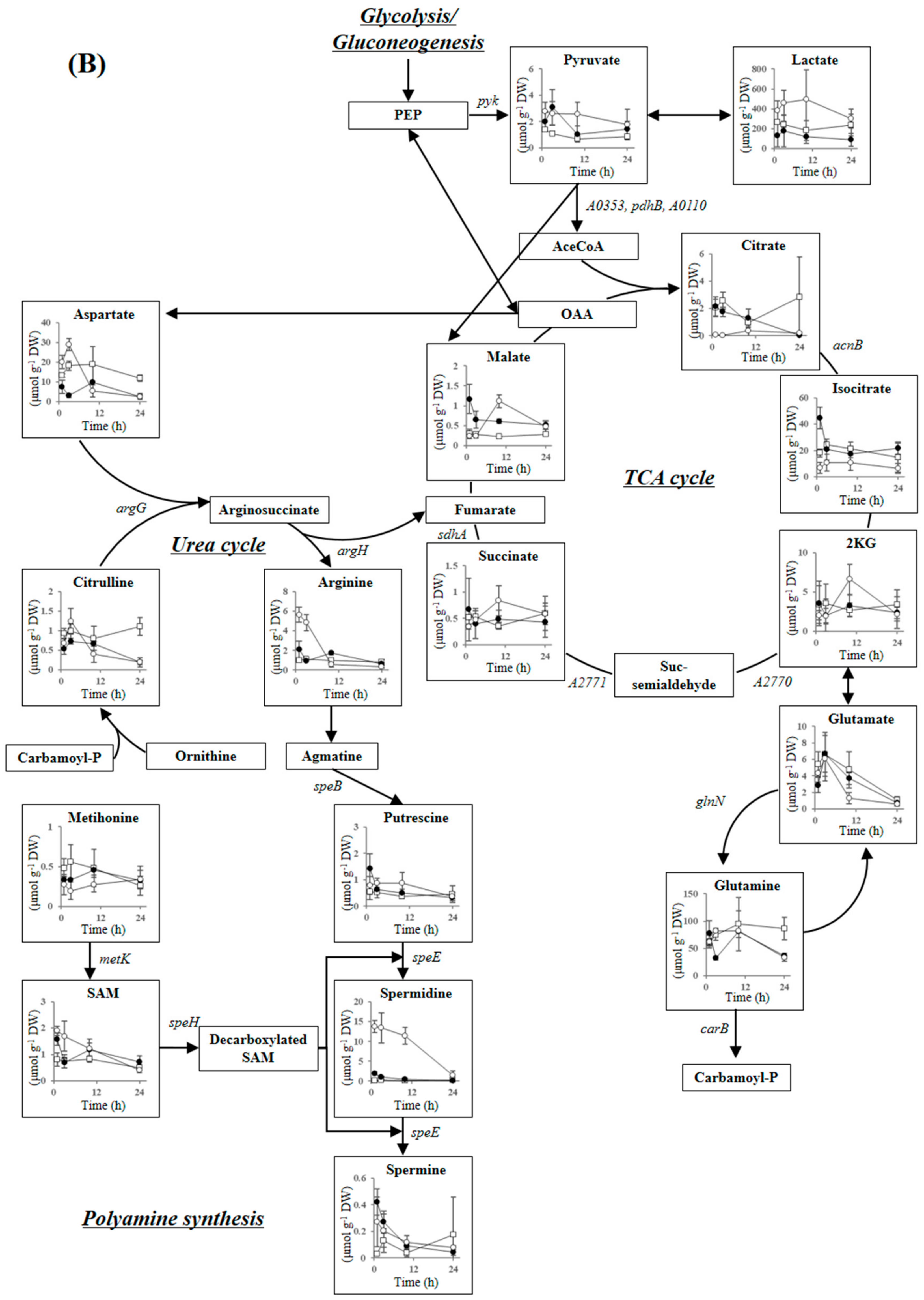 Metabolites 09 00297 g002b