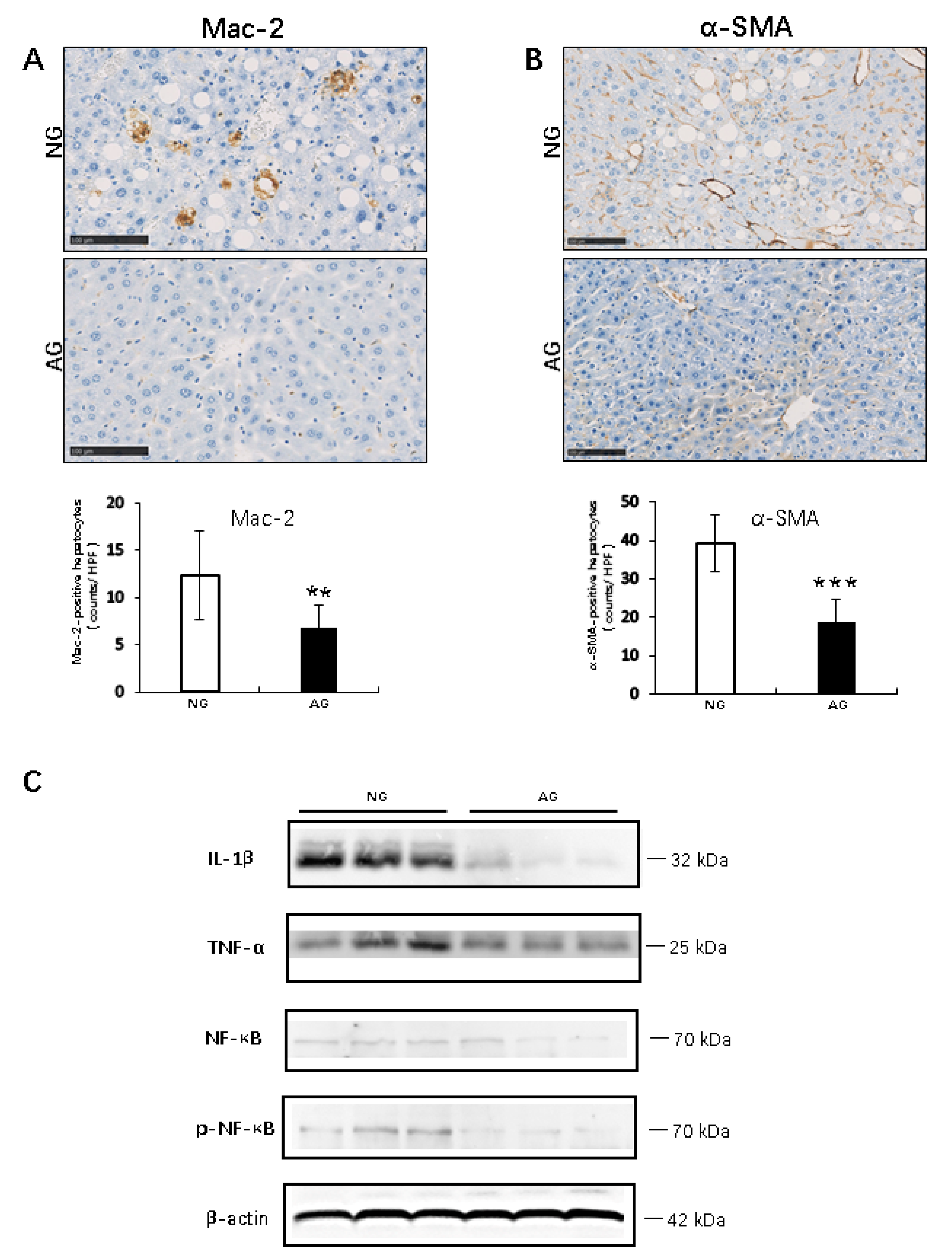 Metabolites 09 00299 g003