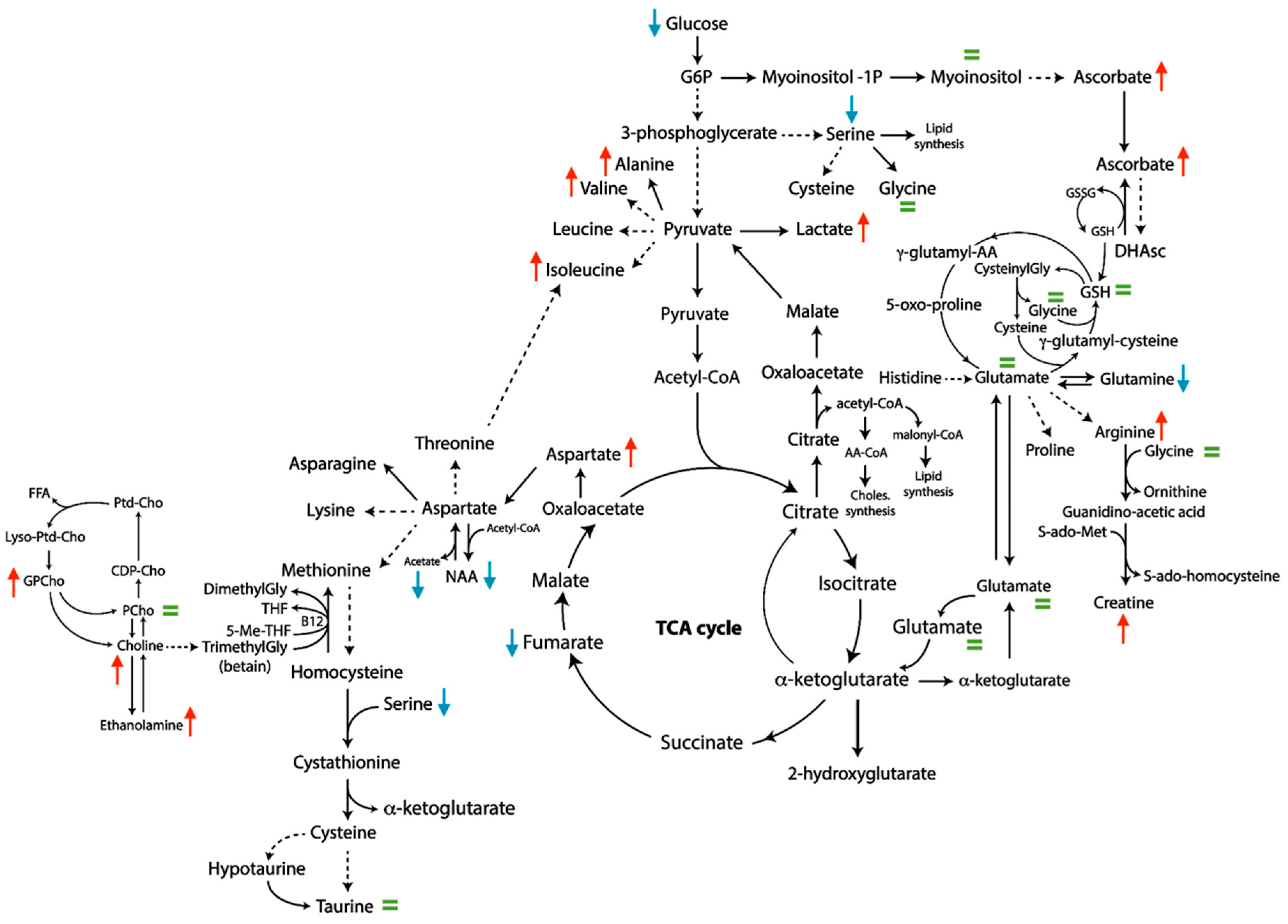 Metabolites 09 00300 g004