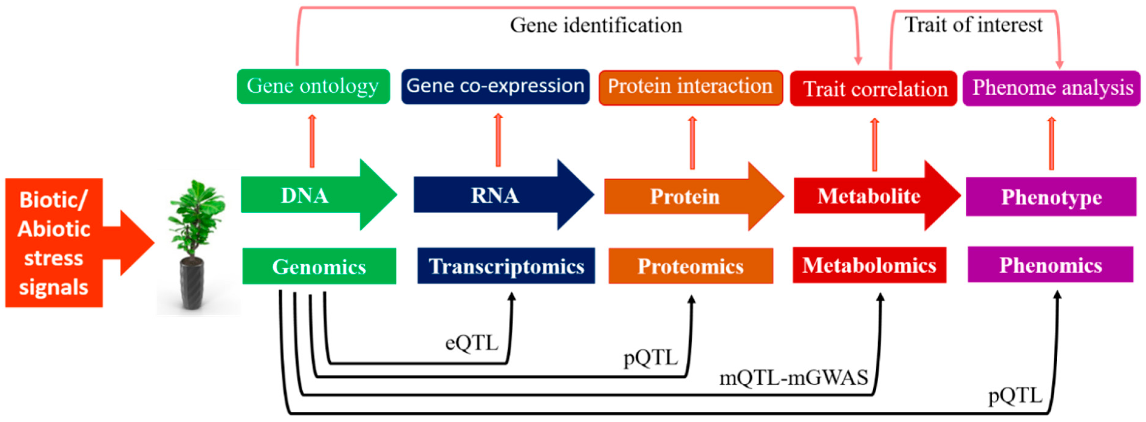 Metabolites 09 00303 g003 Metabolites 09 00303 g003