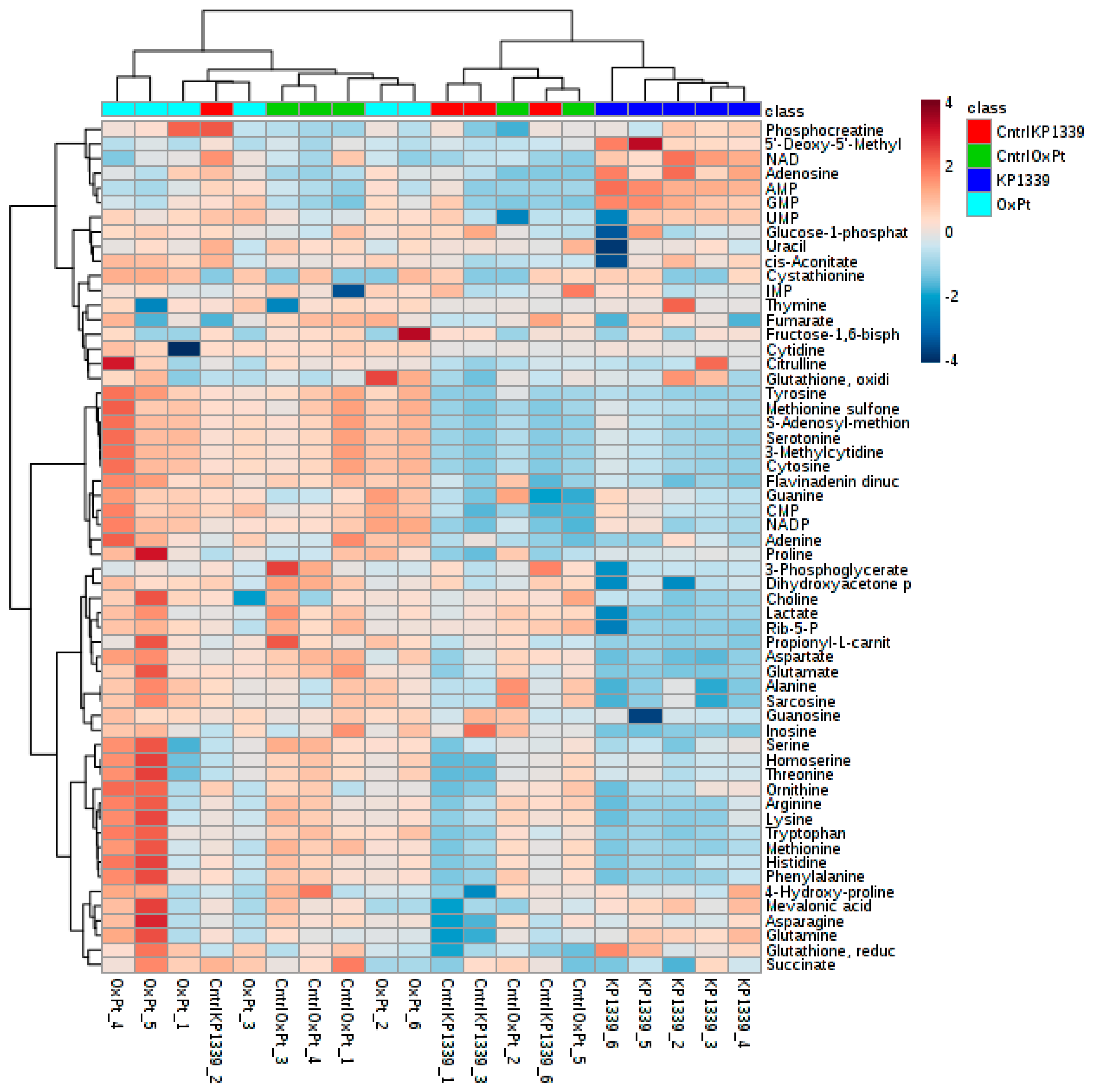 Metabolites 09 00304 g004 Metabolites 09 00304 g004