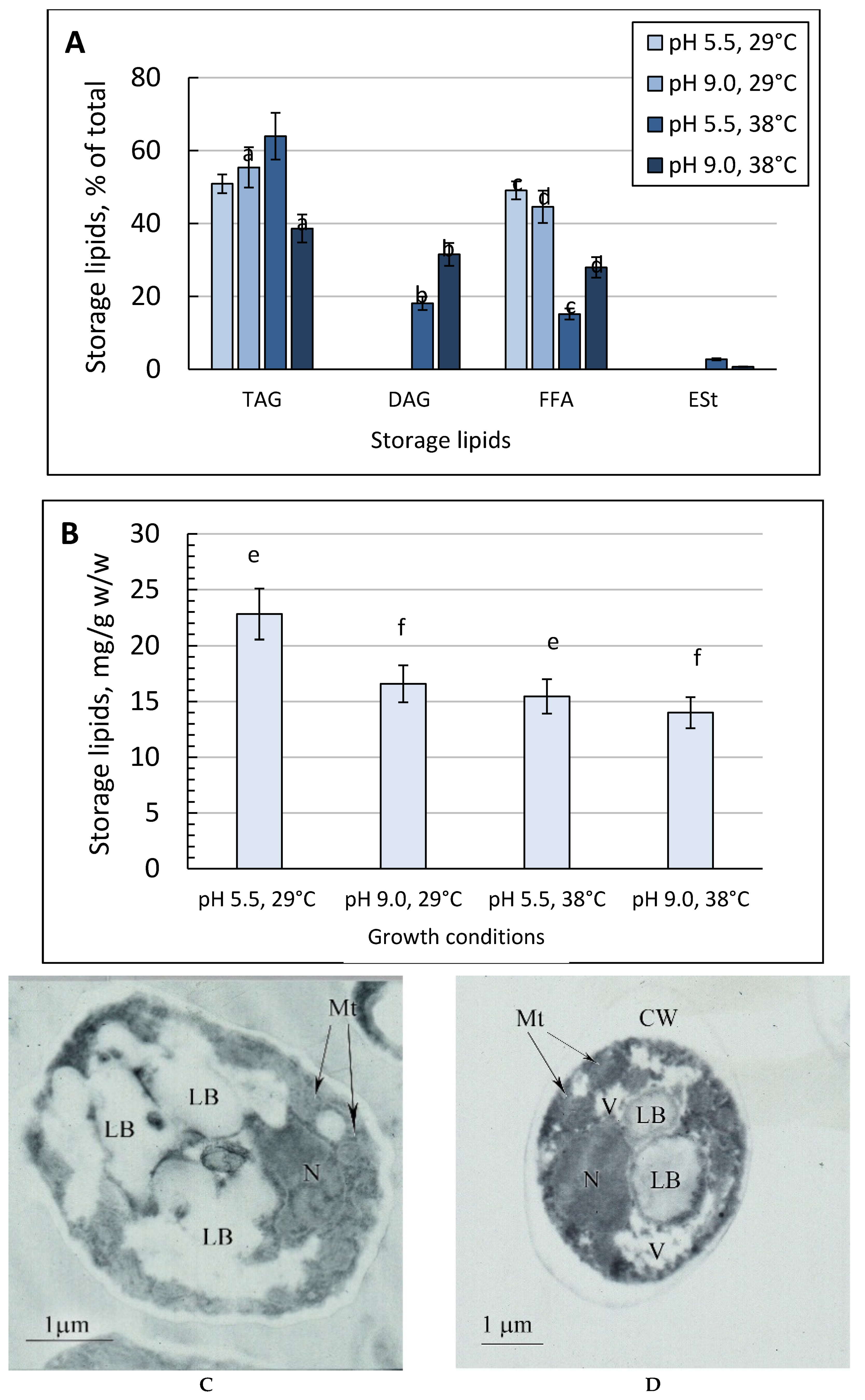 Metabolites 09 00307 g003a