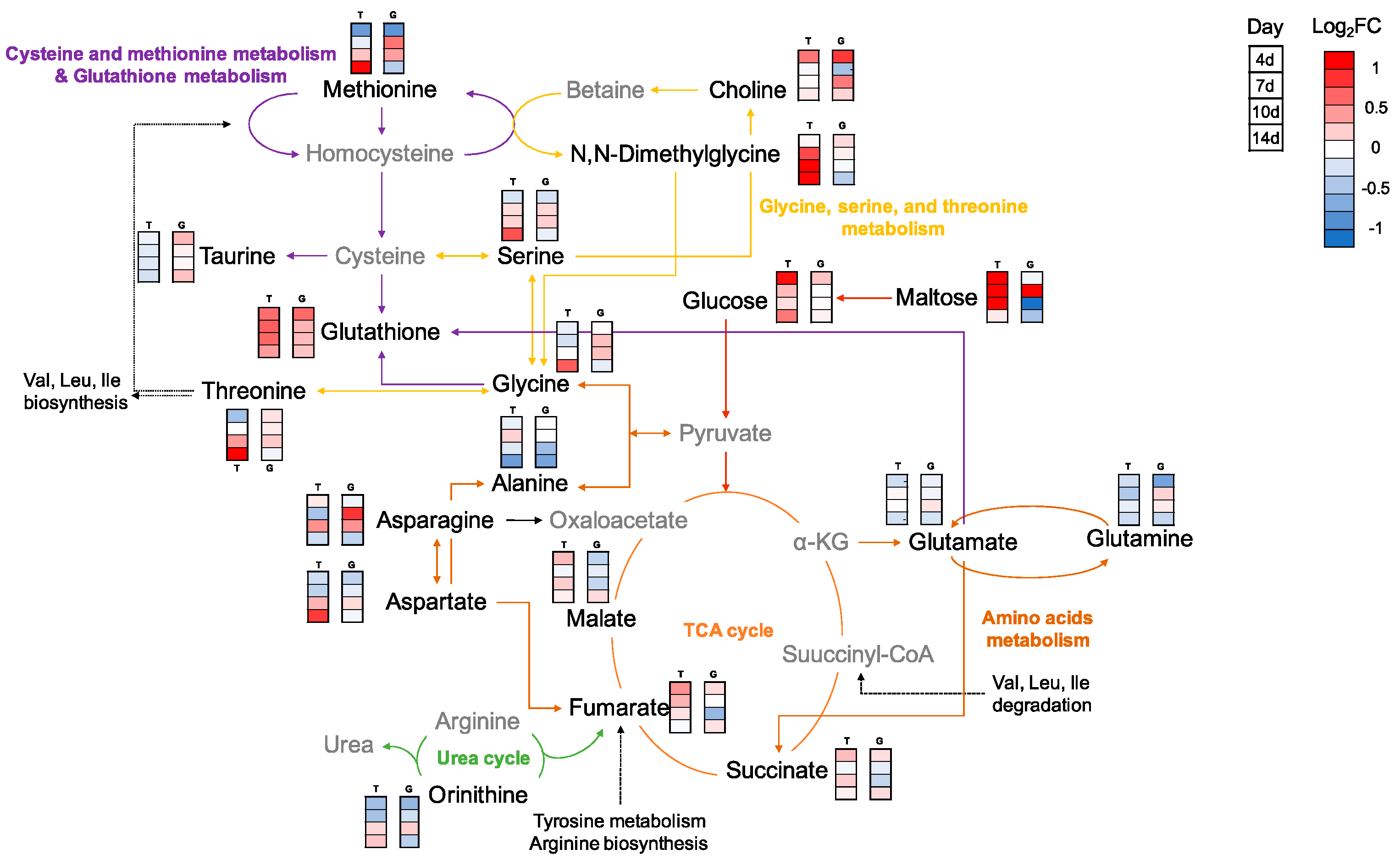 Metabolites 10 00003 g005 Metabolites 10 00003 g005