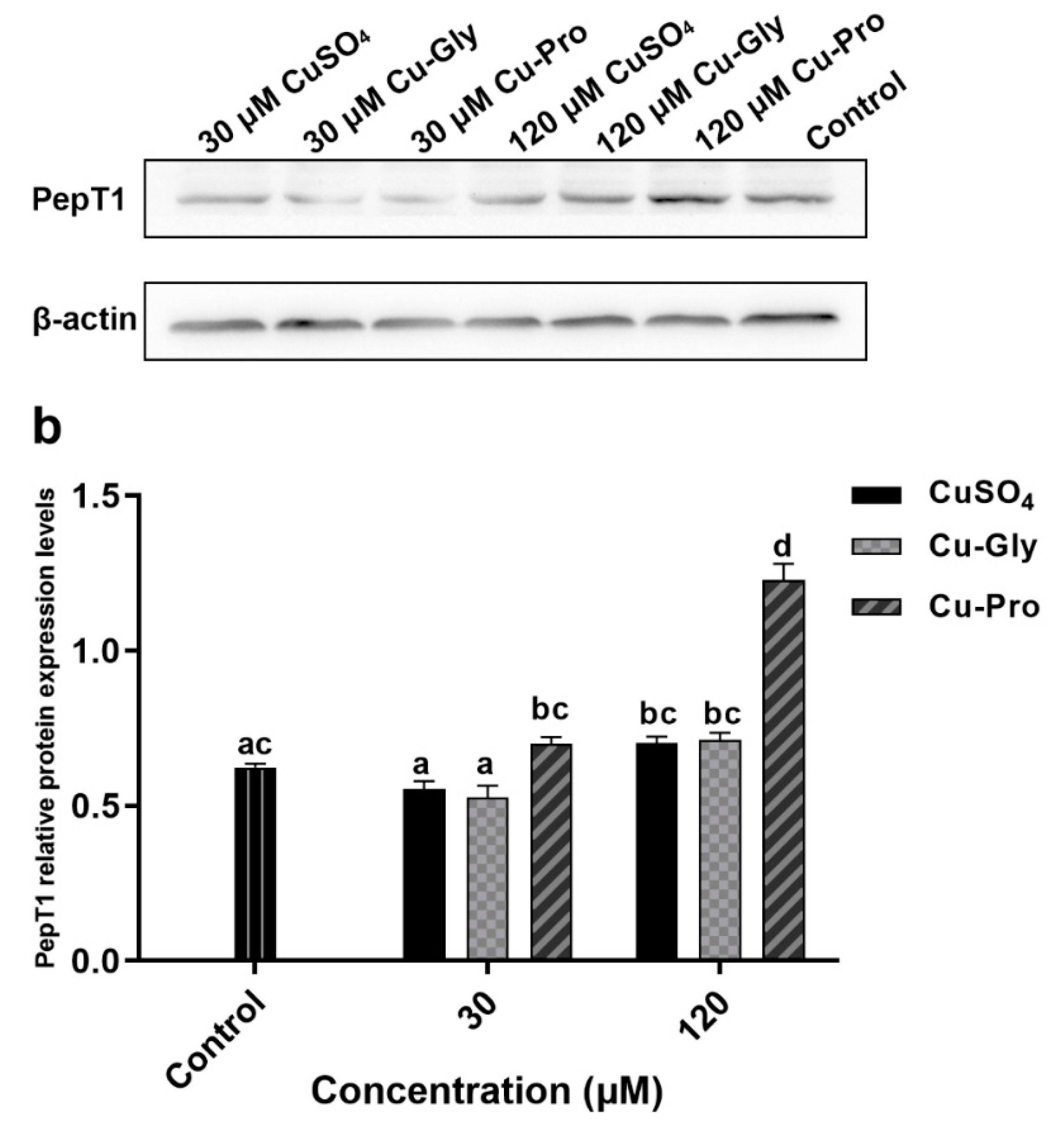 Metabolites 10 00011 g005b