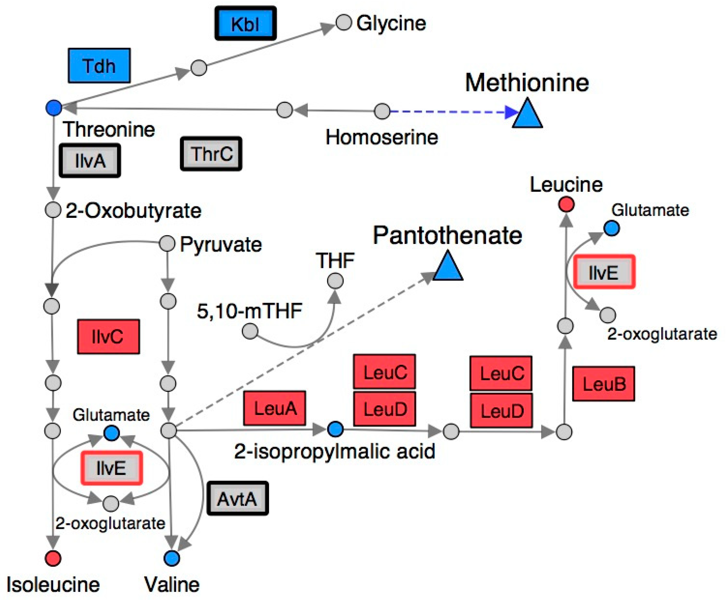 Metabolites 10 00012 g003