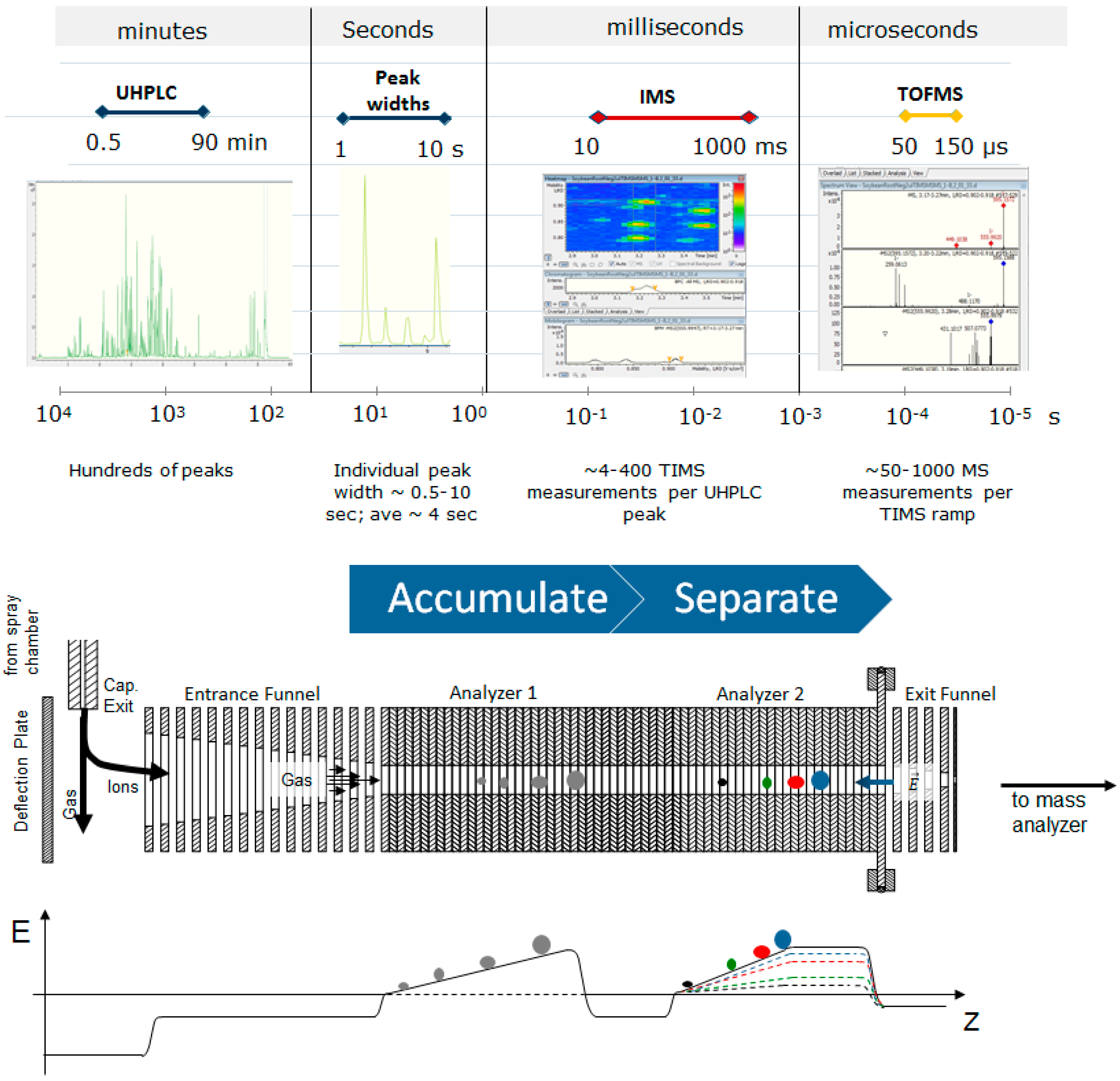 Metabolites 10 00013 g001