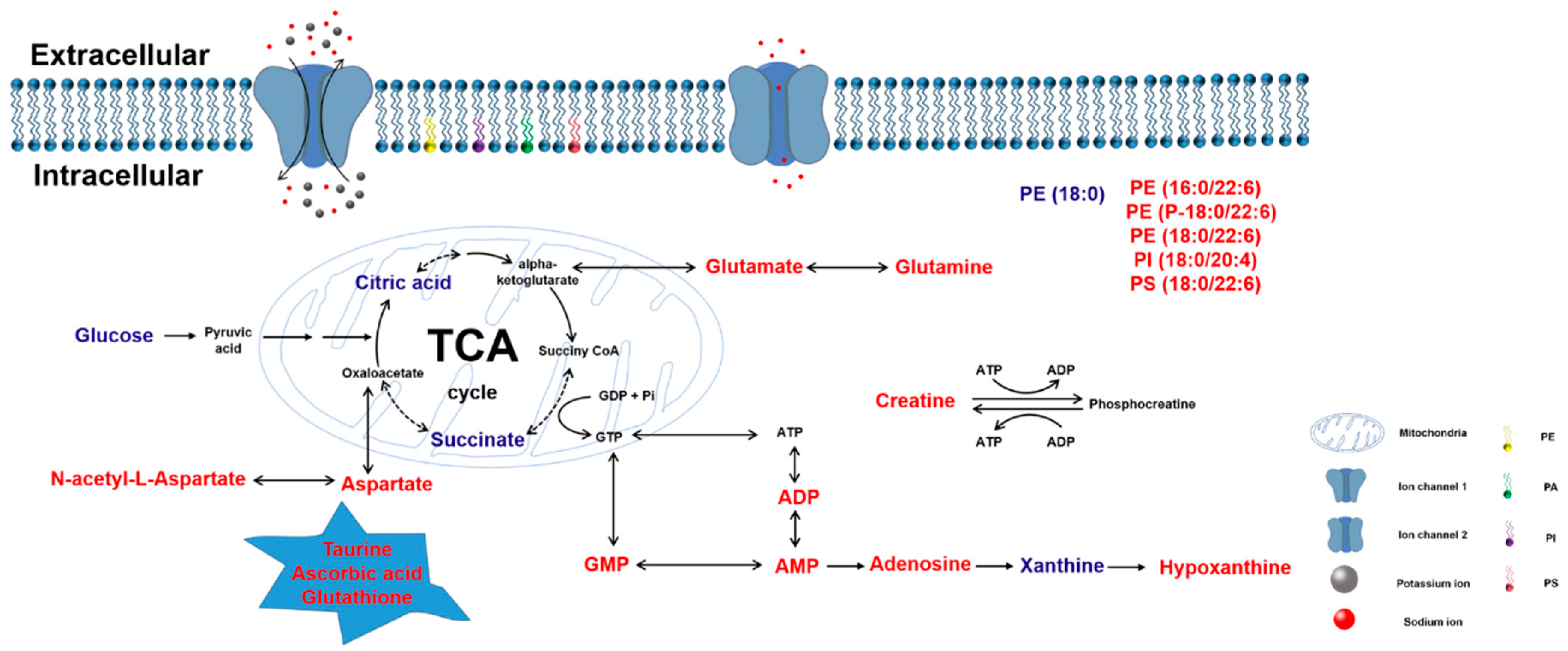 Metabolites 10 00027 g008