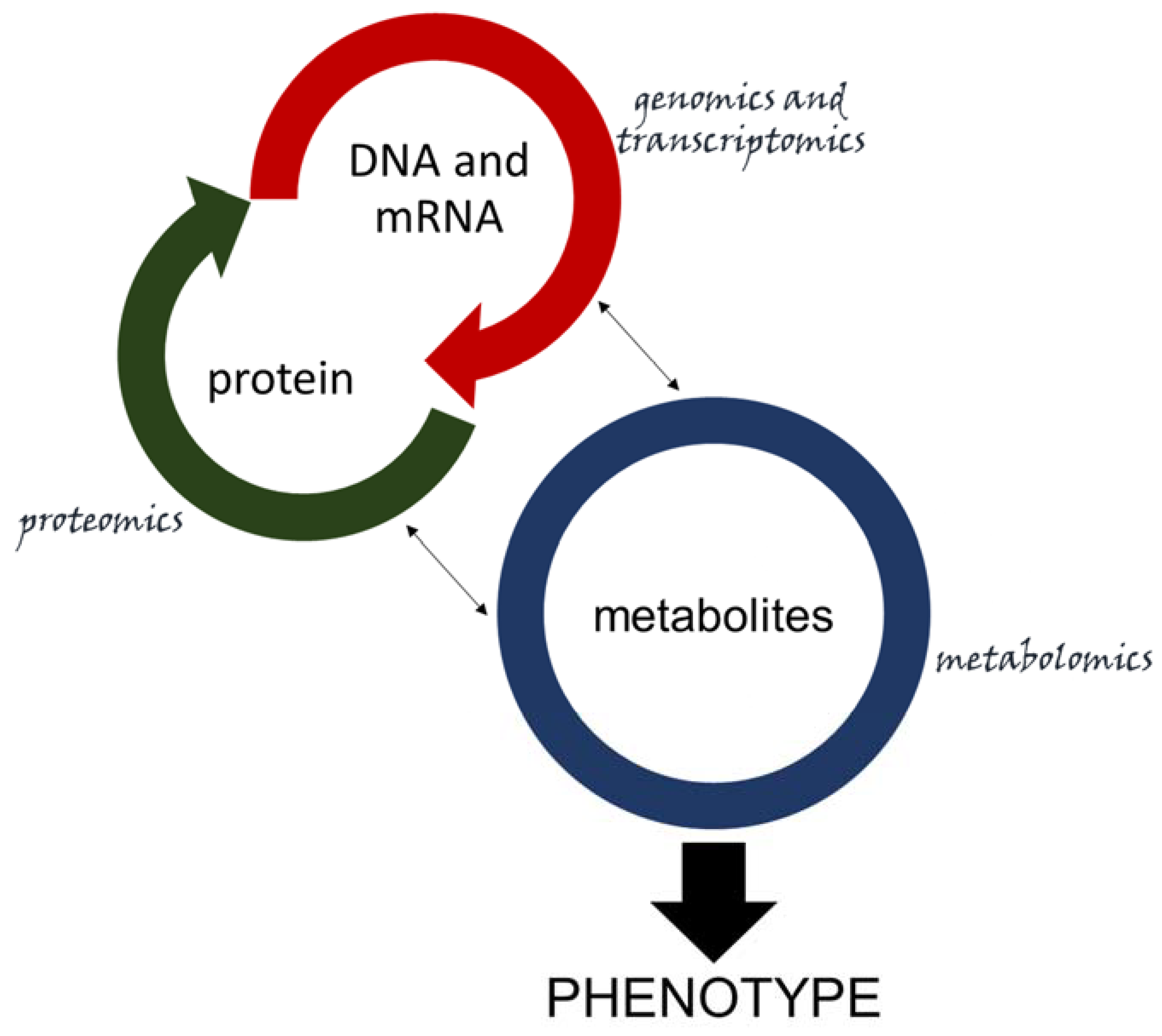 Metabolites 10 00052 g004