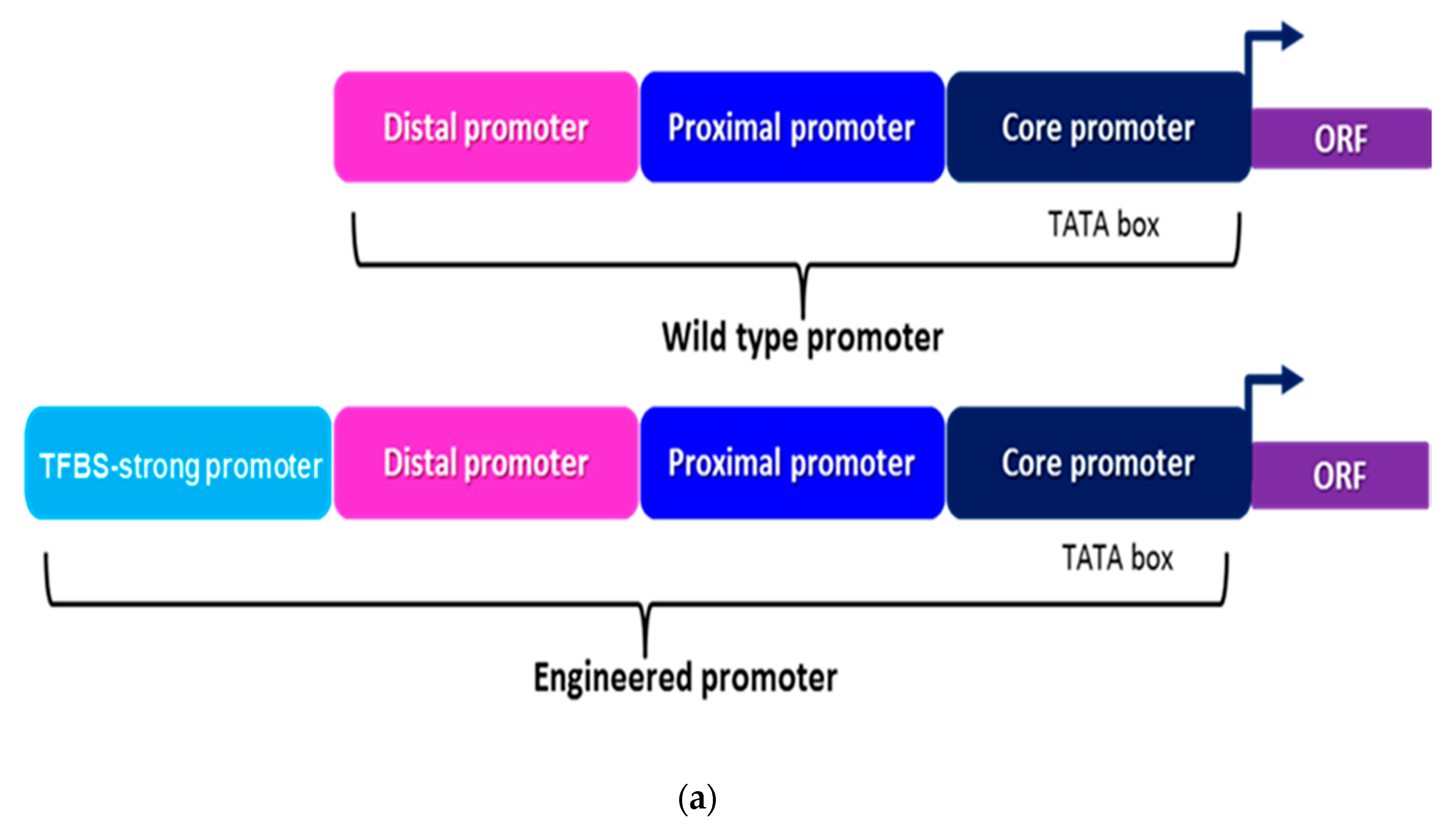 Metabolites 10 00056 g002a Metabolites 10 00056 g002a