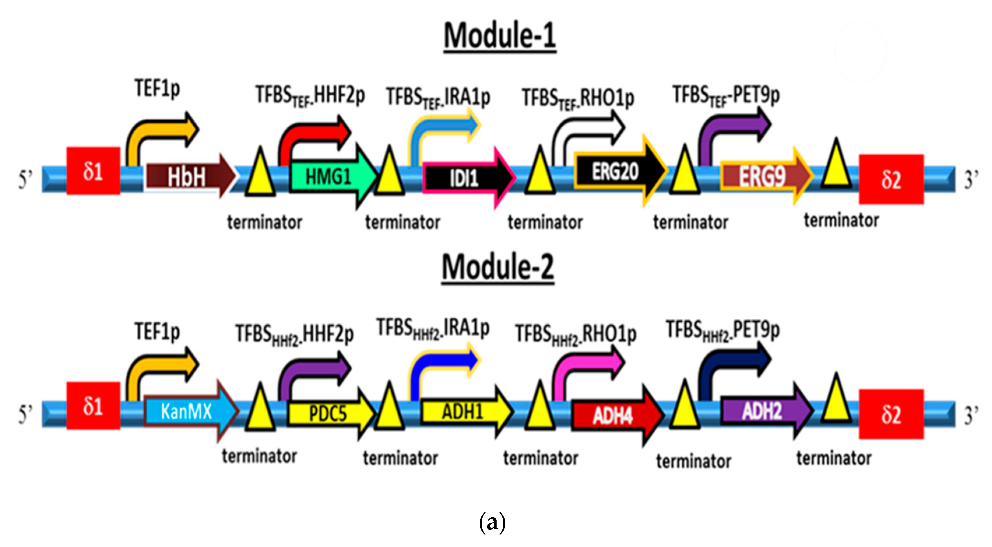 Metabolites 10 00056 g003a Metabolites 10 00056 g003a