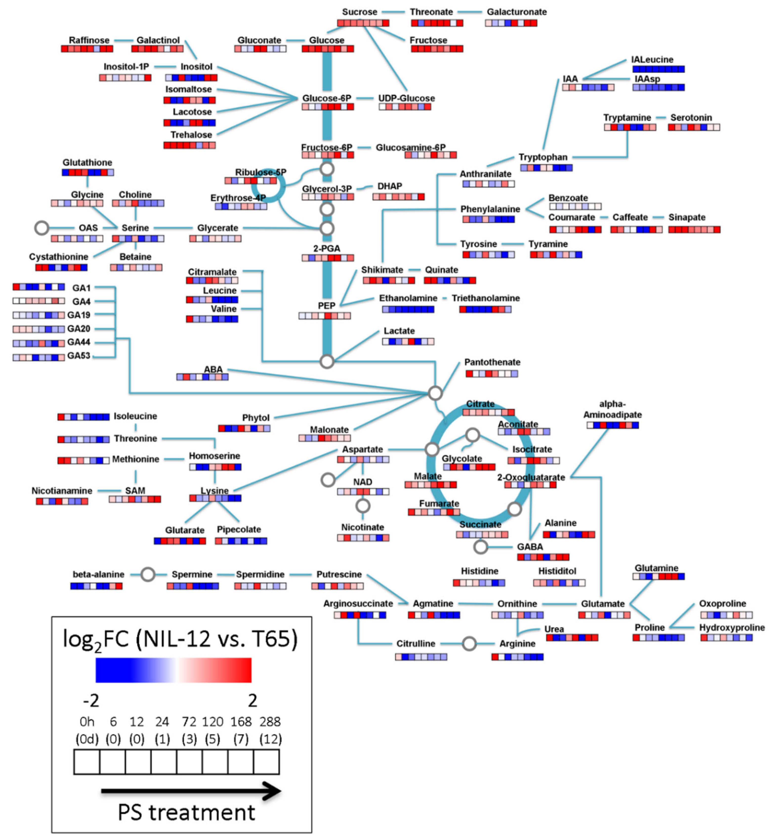 Metabolites 10 00068 g006