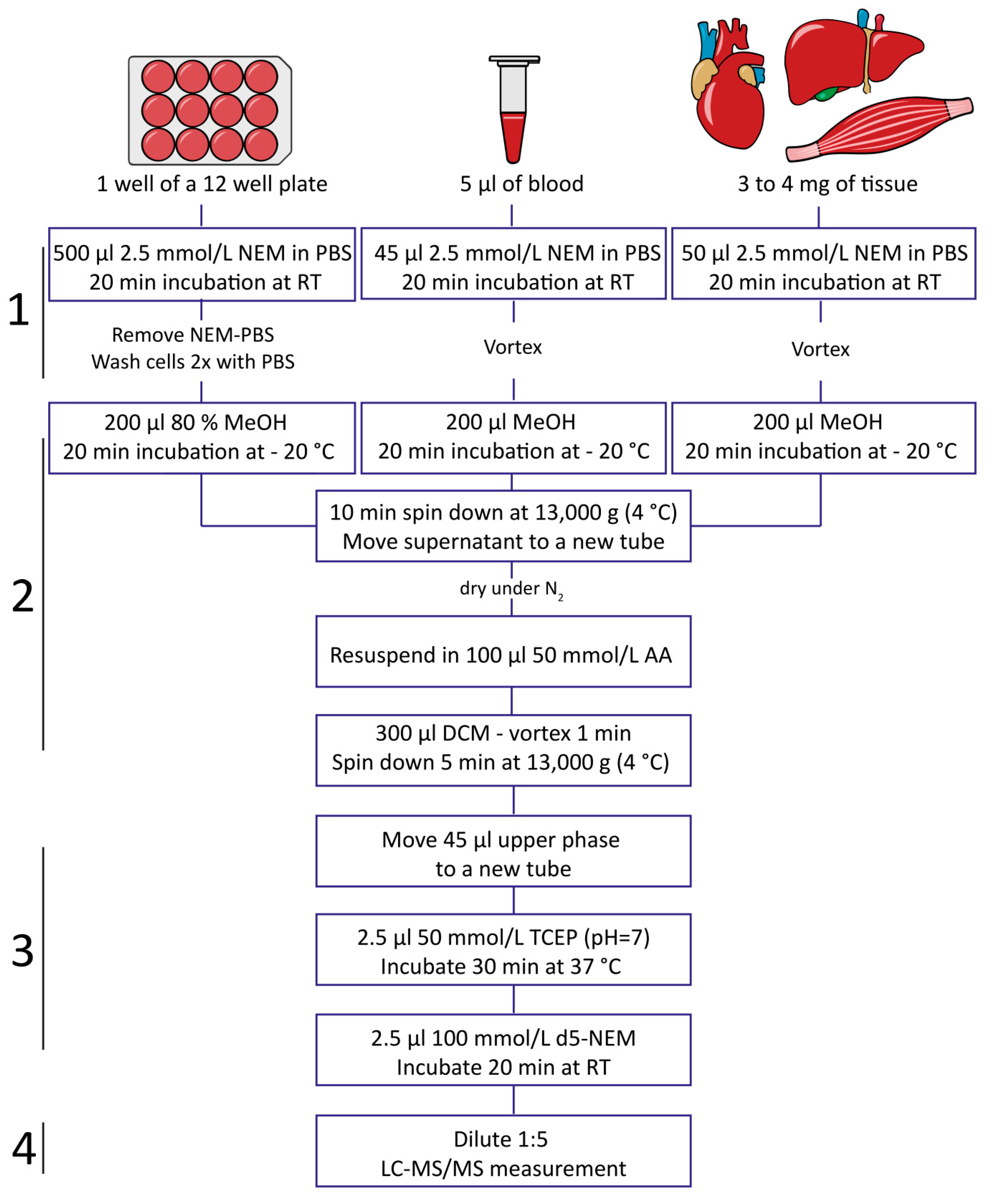 Metabolites 10 00071 g001 Metabolites 10 00071 g001