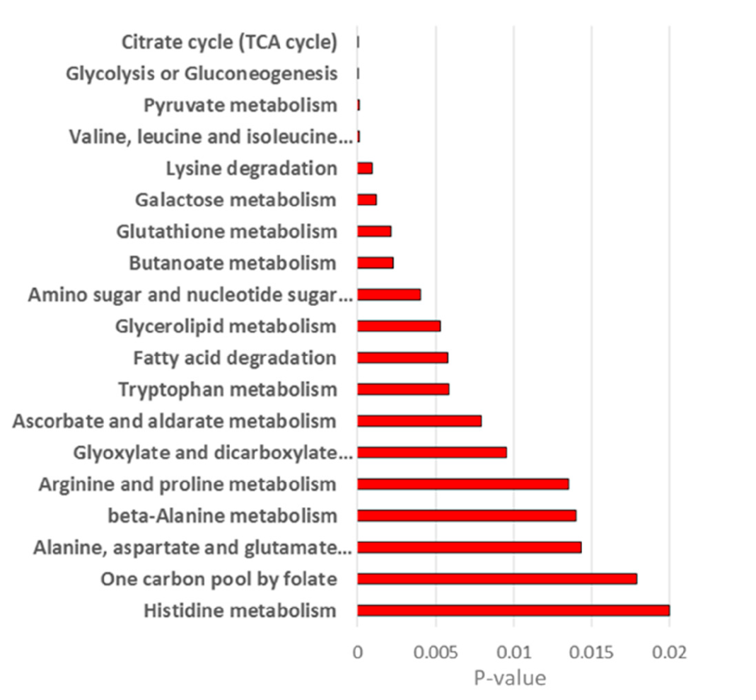 Metabolites 10 00088 g007 Metabolites 10 00088 g007