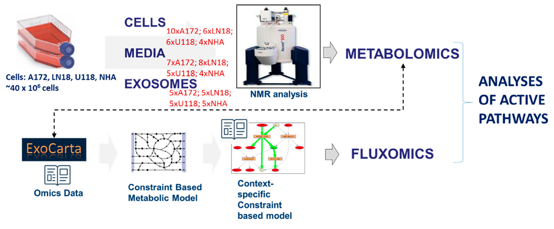 Metabolites 10 00088 g010 Metabolites 10 00088 g010