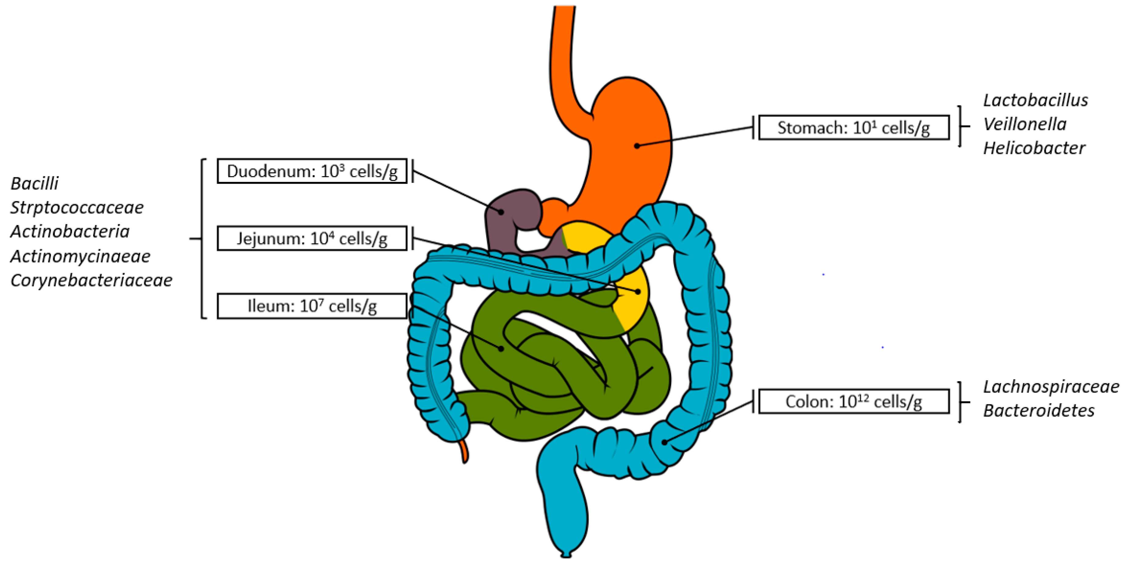 Metabolites | Free Full-Text | An Integrated Multi-Disciplinary Perspective  for Addressing Challenges of the Human Gut Microbiome | HTML