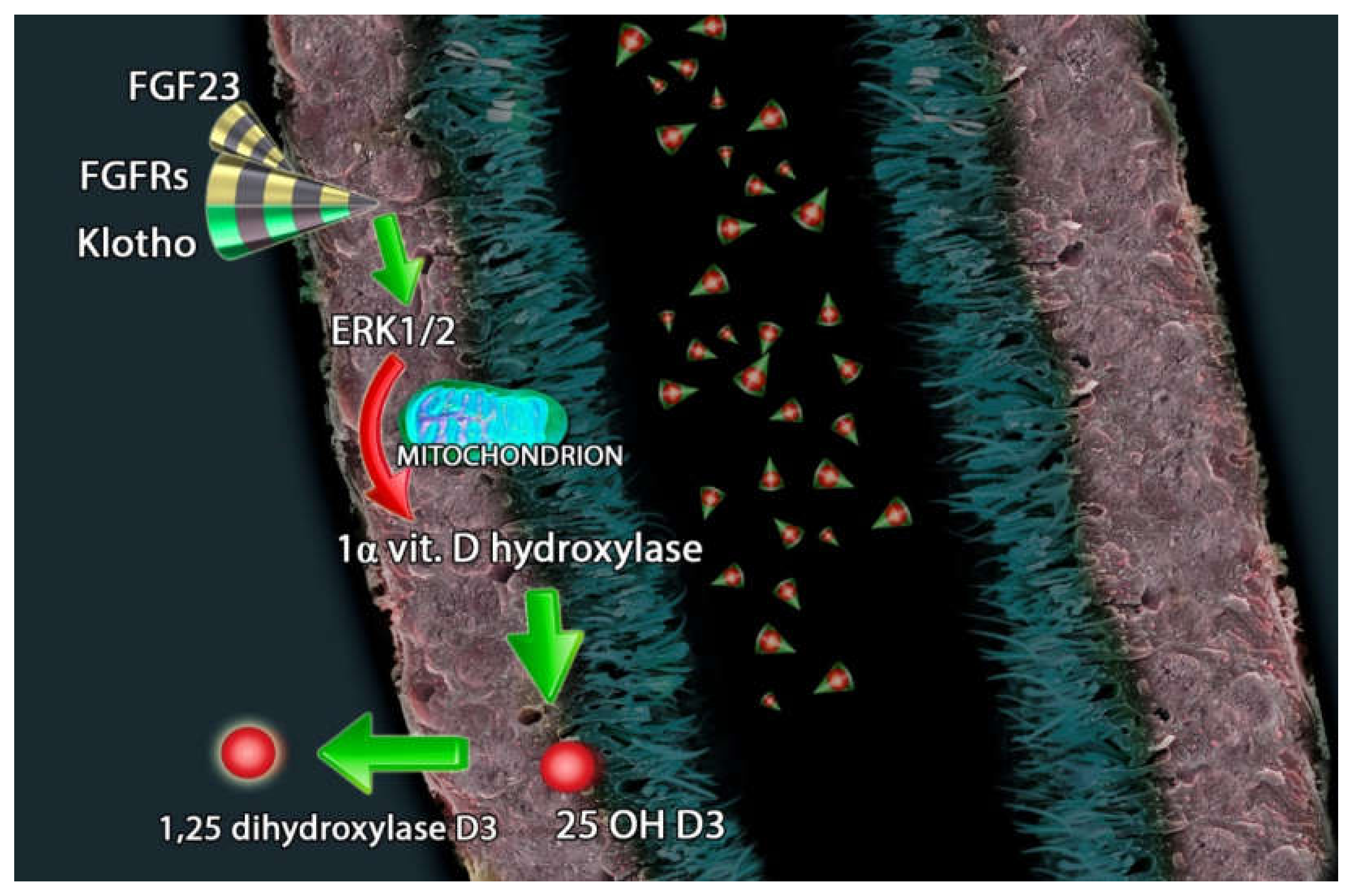 Metabolites 10 00115 g002
