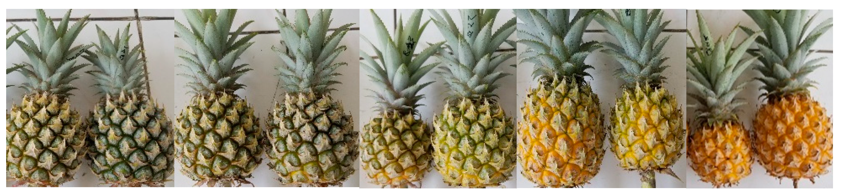 Metabolites 10 00134 g001 Metabolites 10 00134 g001