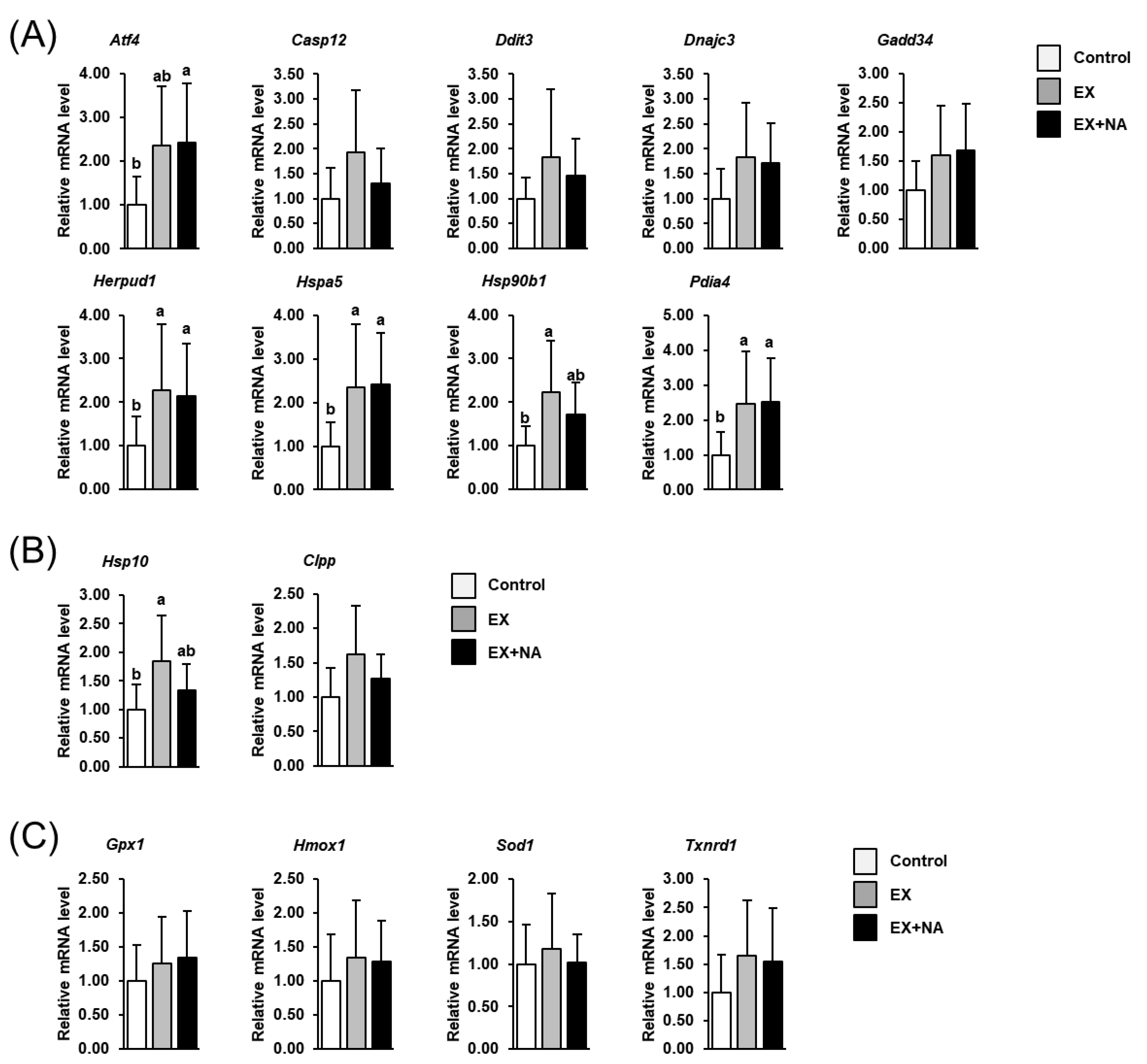 Metabolites 10 00138 g007