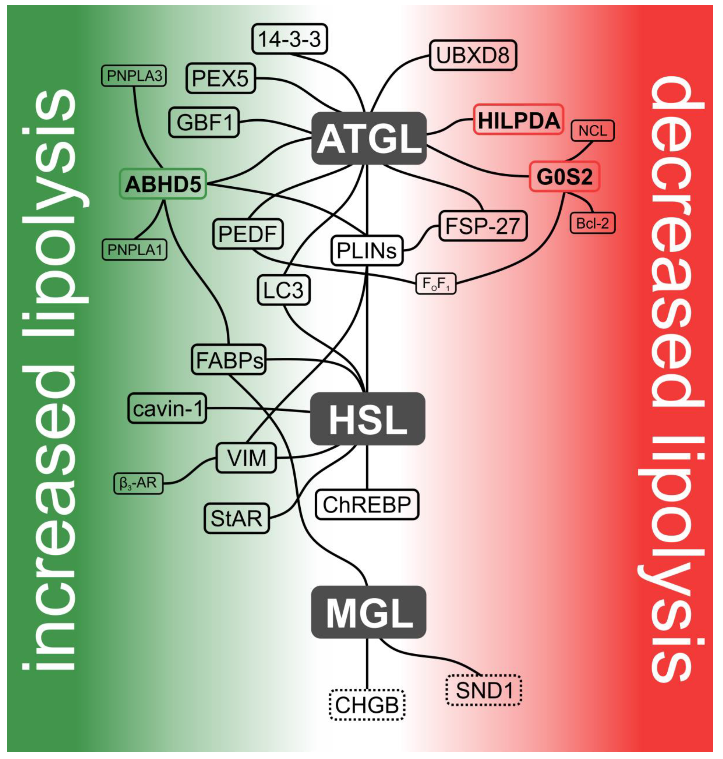 Metabolites 10 00147 g002