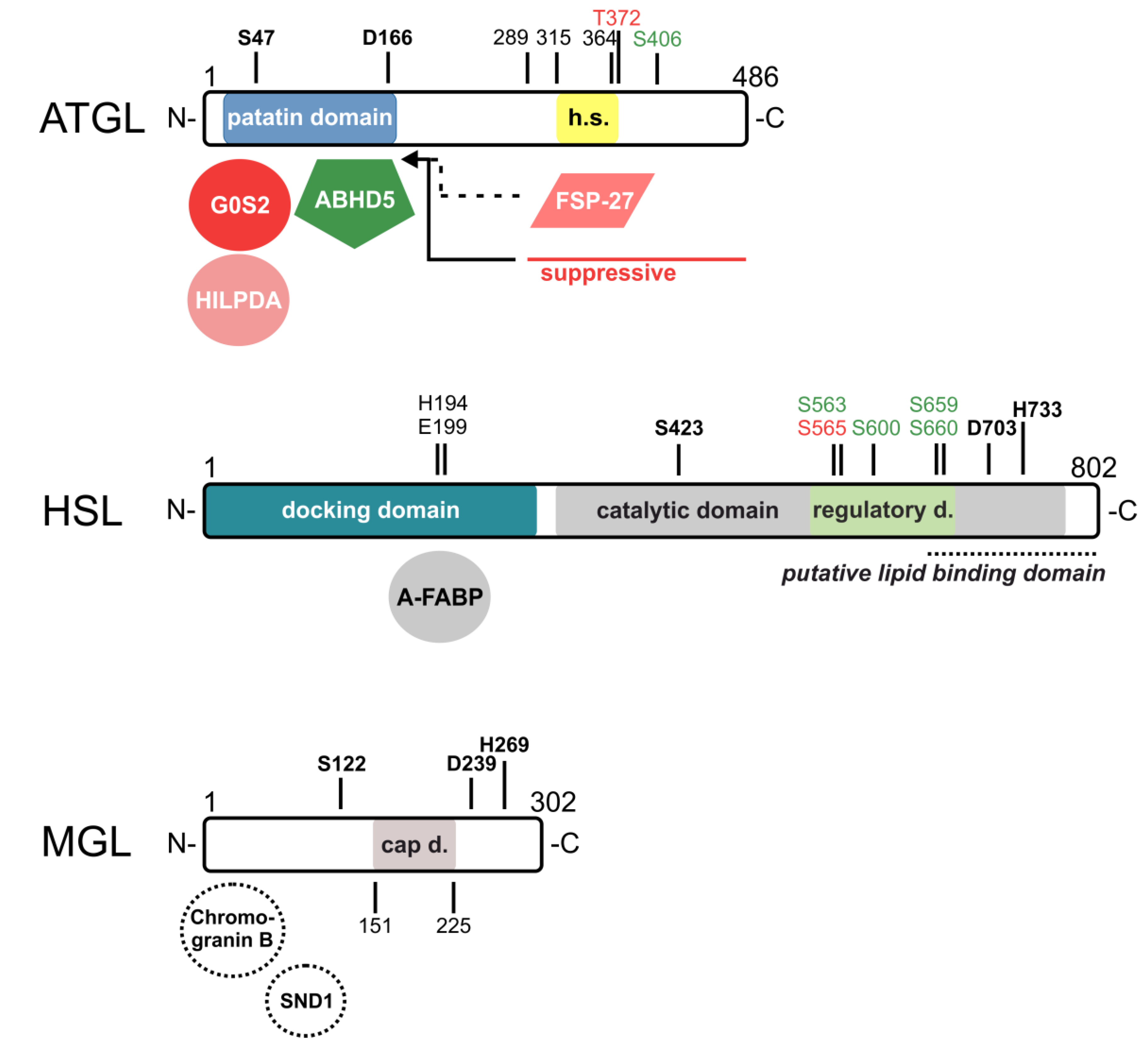 Metabolites 10 00147 g003