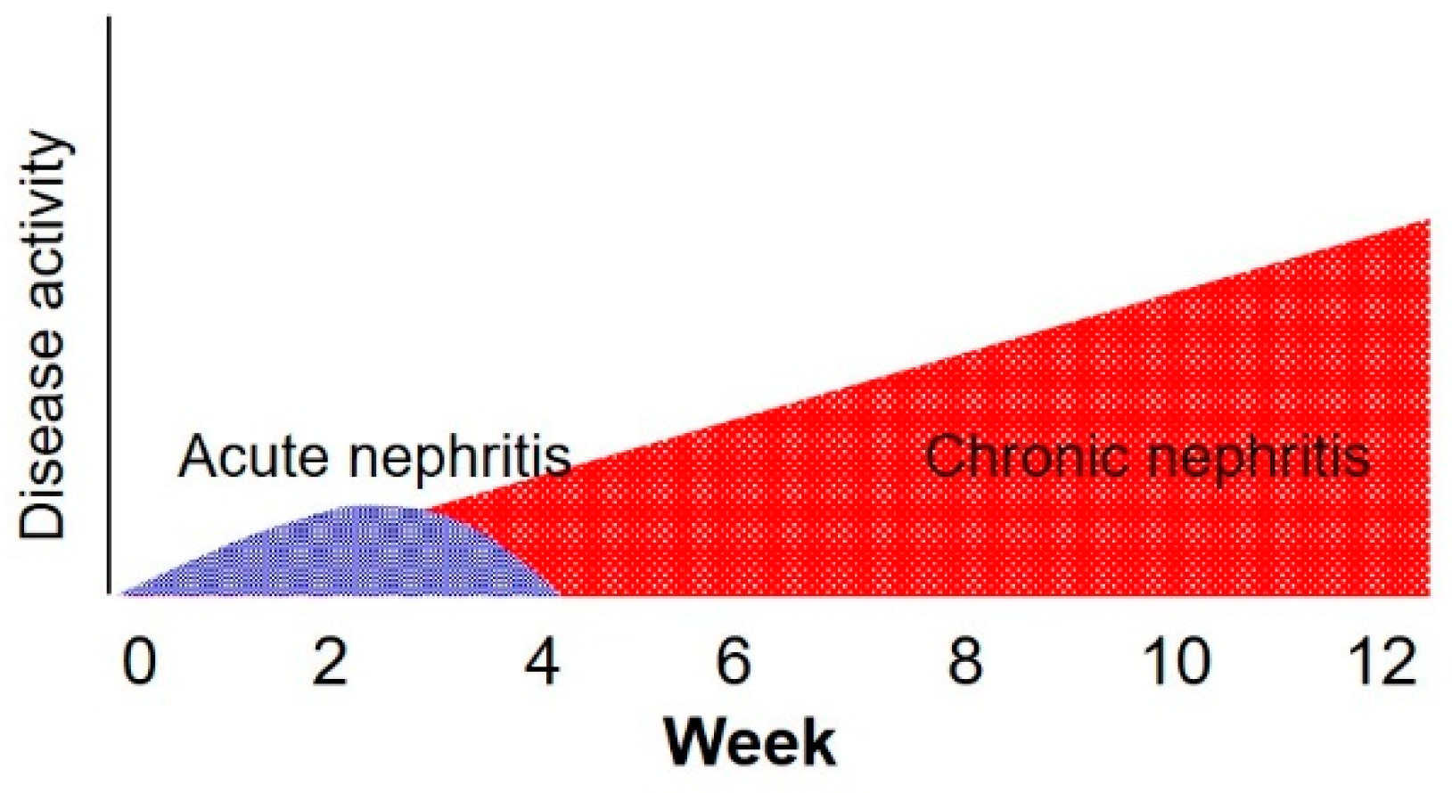 Metabolites Free Full Text Mechanism Of Chronic Kidney Disease Progression And Novel Biomarkers A Metabolomic Analysis Of Experimental Glomerulonephritis Html Metabolites Free Full Text Mechanism Of Chronic Kidney Disease Progression And Novel Biomarkers A Metabolomic Analysis Of Experimental Glomerulonephritis Html