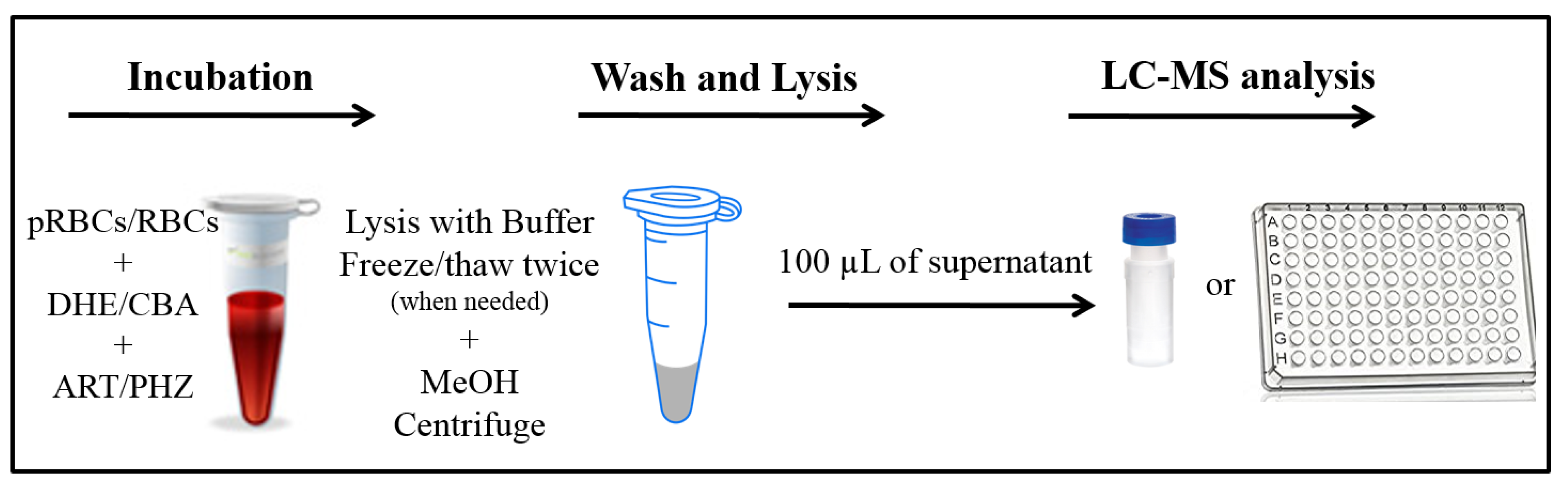 Metabolites 10 00175 g002