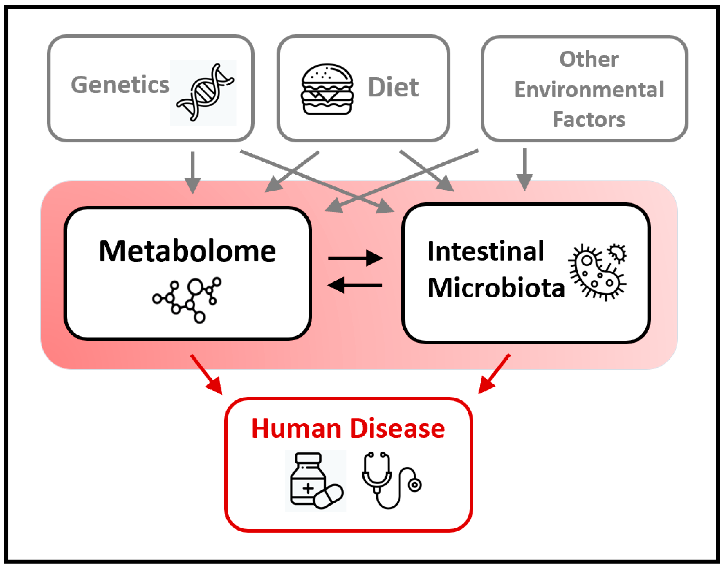 Metabolites 10 00181 g001