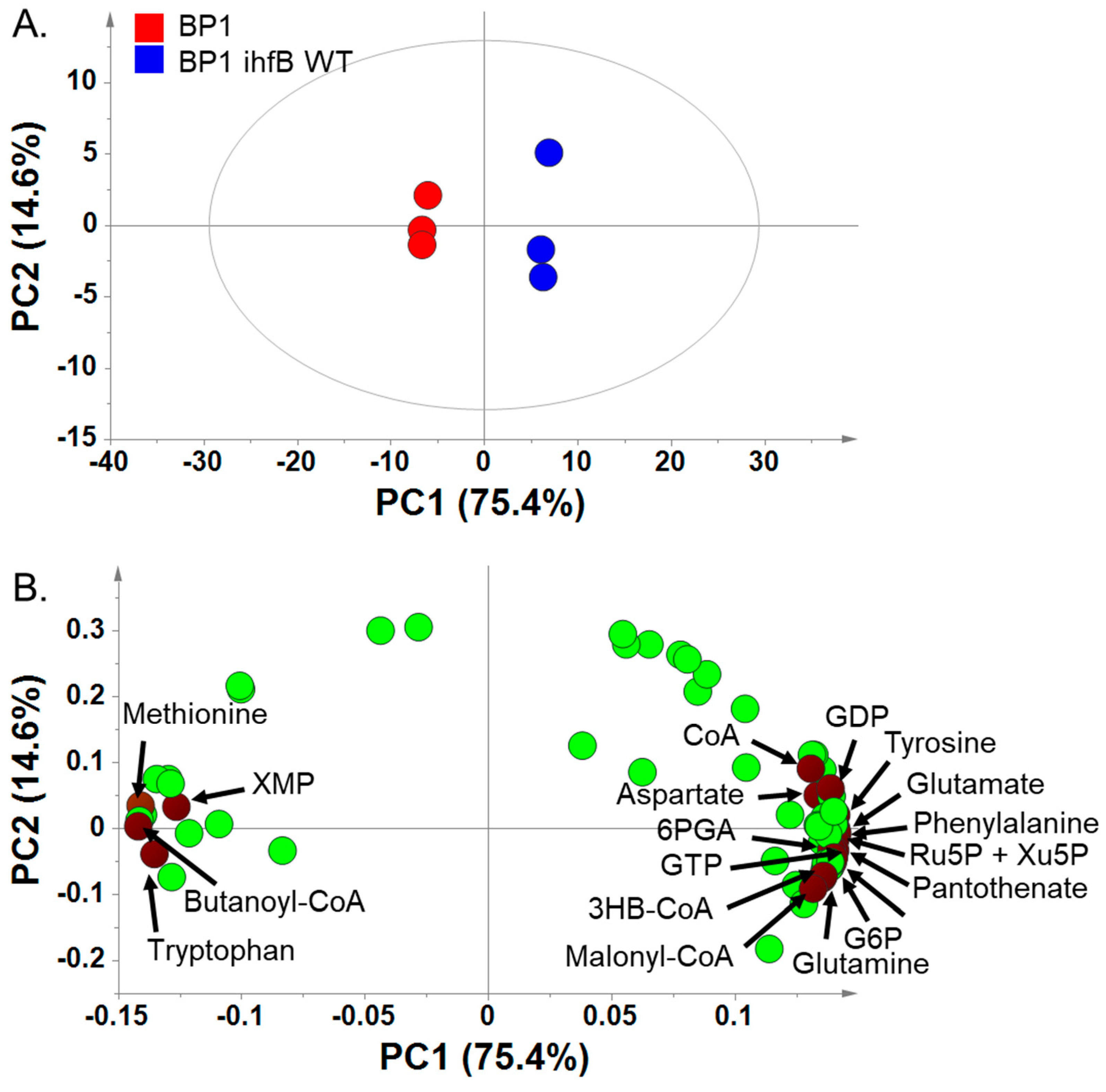 Metabolites 10 00192 g003 Metabolites 10 00192 g003