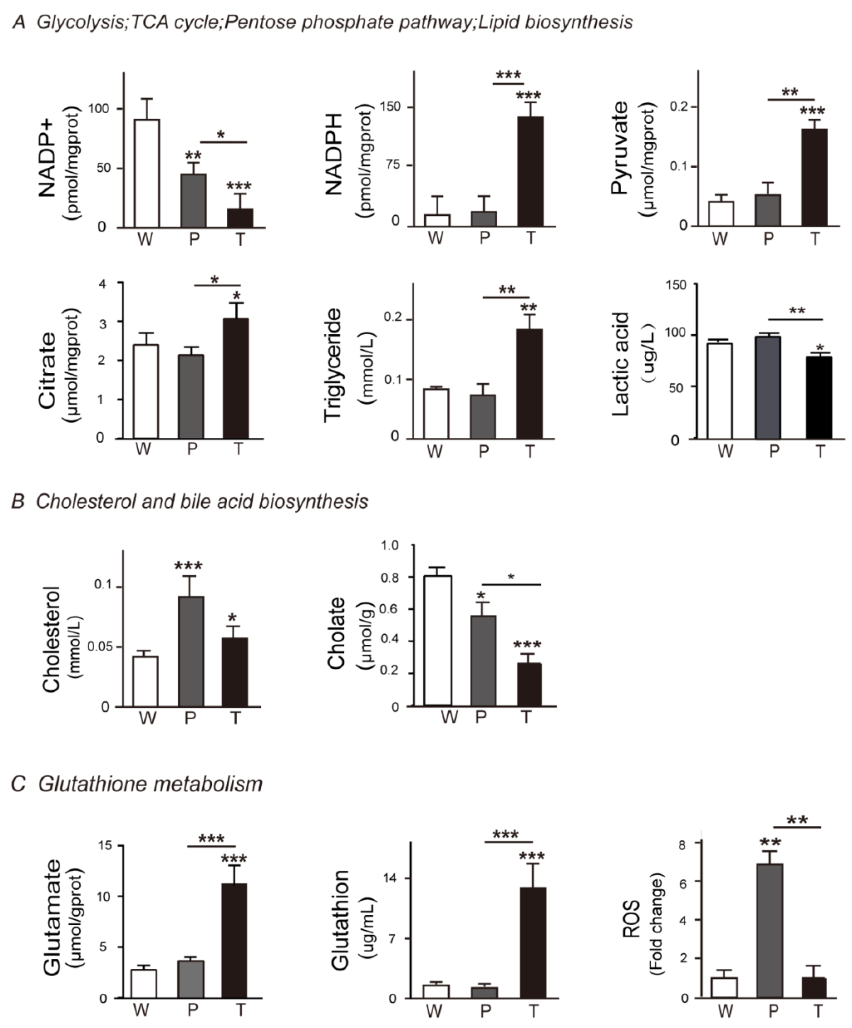 Metabolites 10 00193 g003