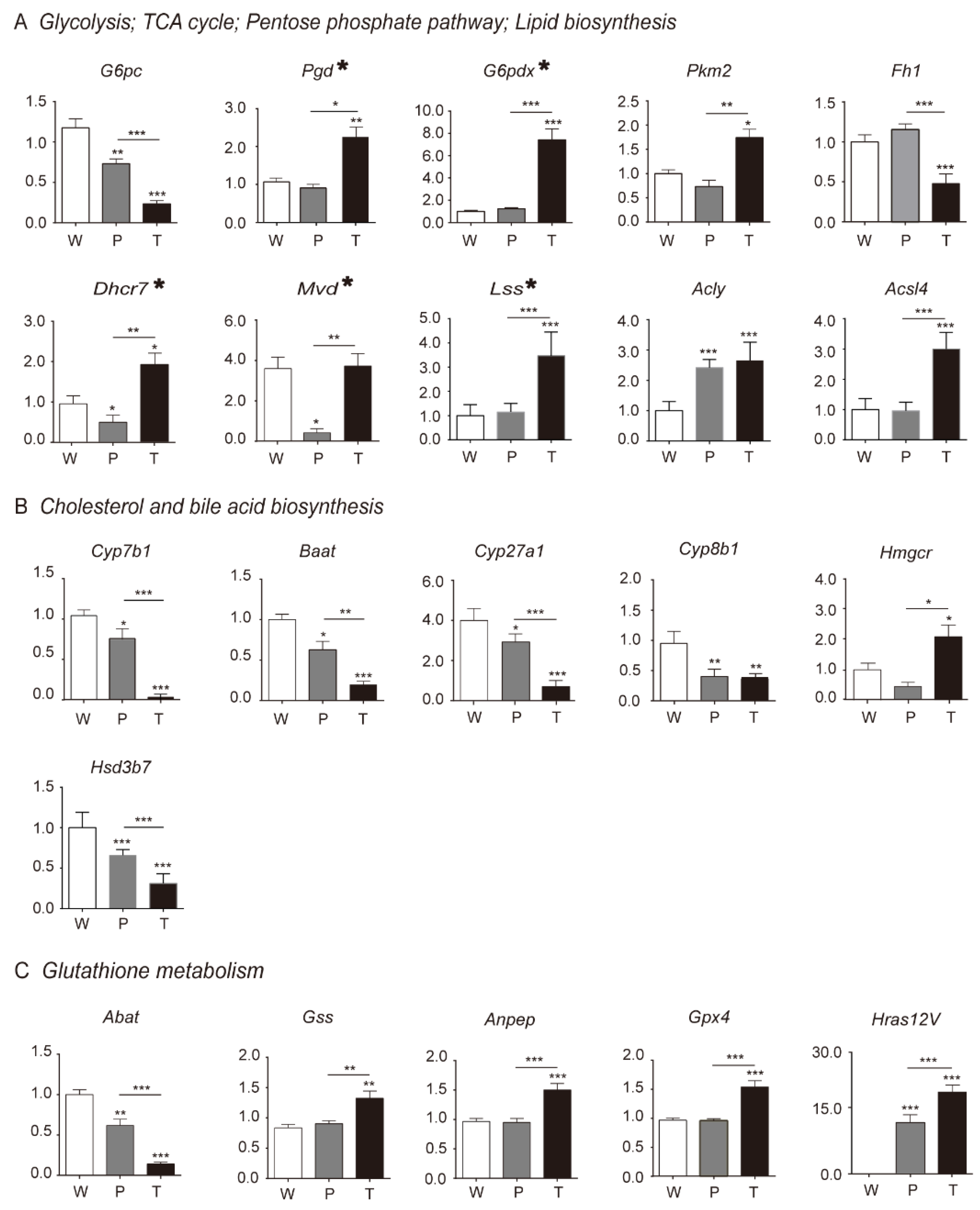 Metabolites 10 00193 g004