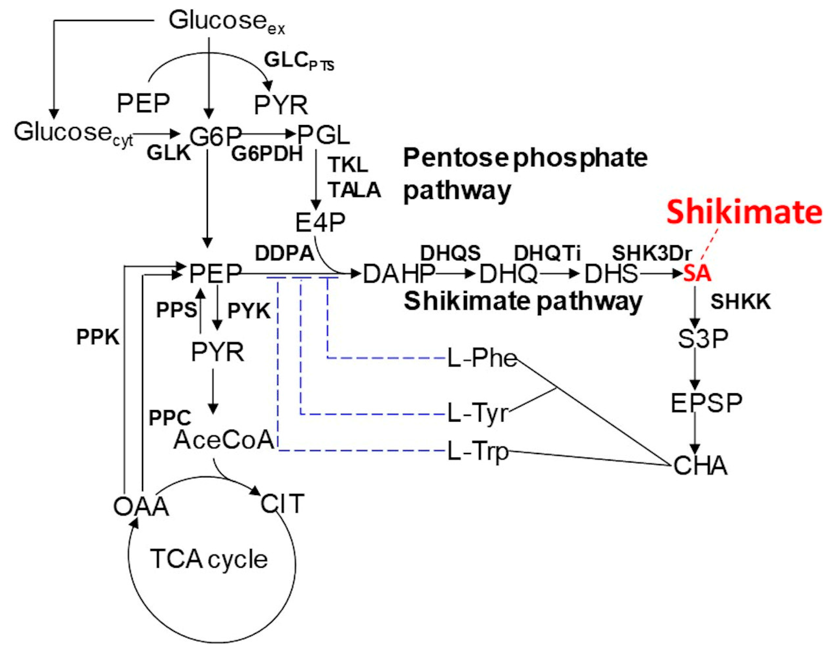 Metabolites 10 00198 g001
