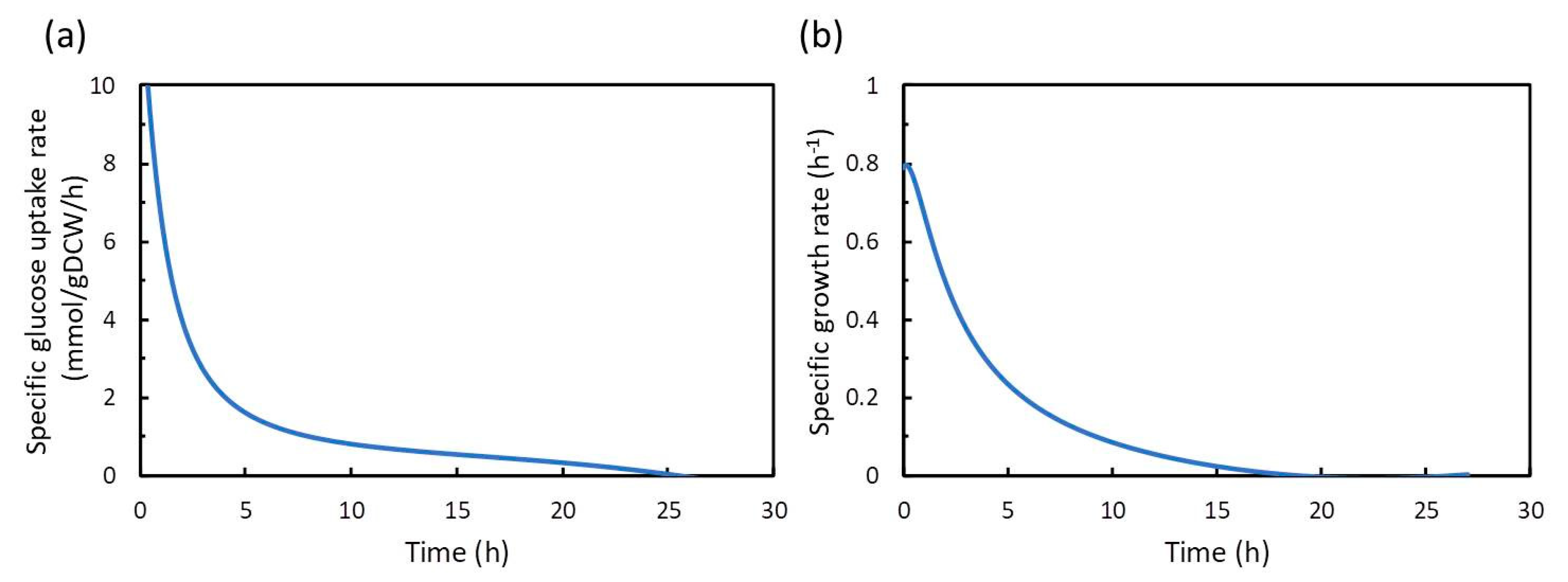 Metabolites 10 00198 g003