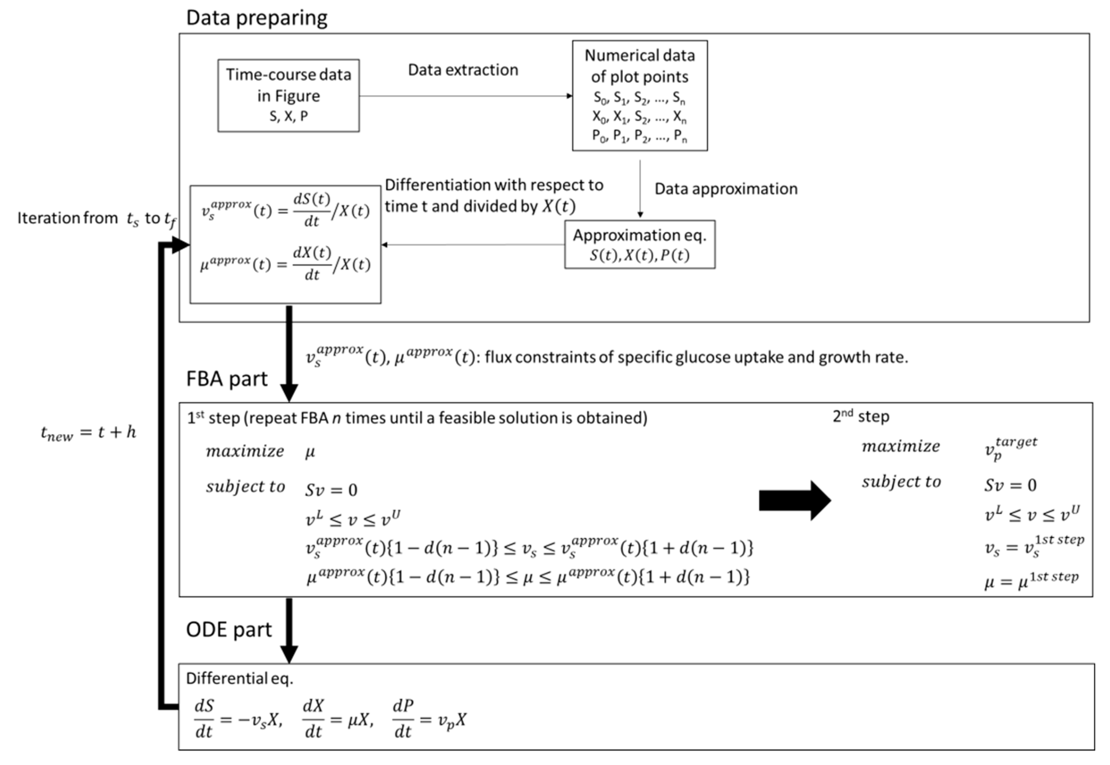 Metabolites Free Full Text Dynamic Flux Balance Analysis To Evaluate The Strain Production Performance On Shikimic Acid Production In Escherichia Coli Html