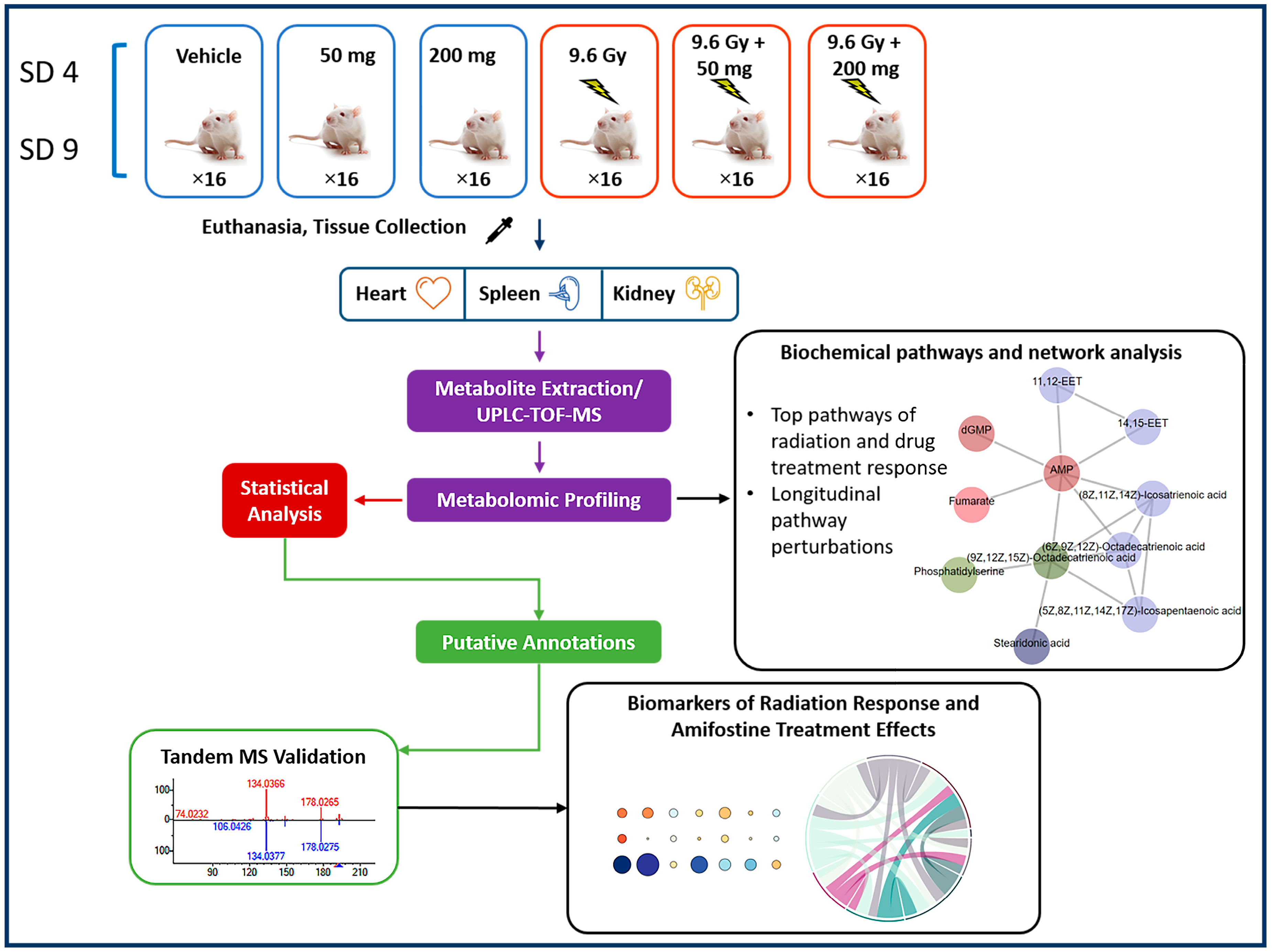 Metabolites 10 00211 g001 Metabolites 10 00211 g001