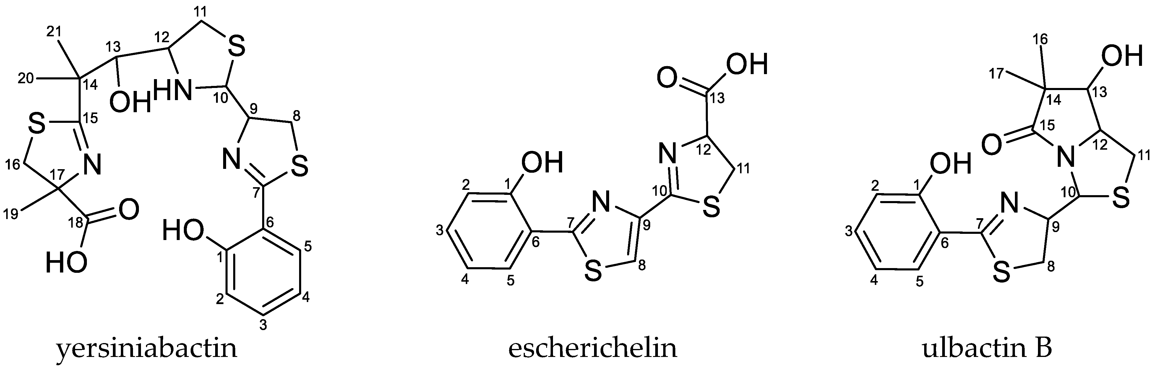Metabolites 10 00221 g001