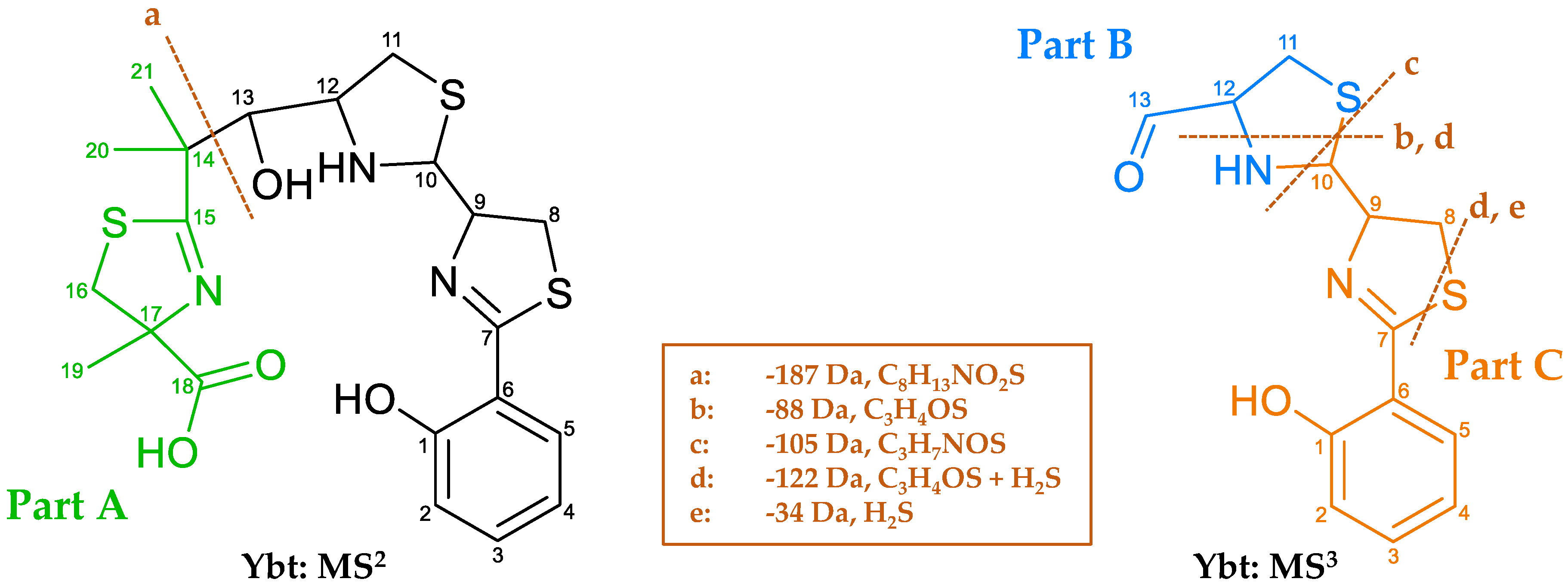 Metabolites 10 00221 g010