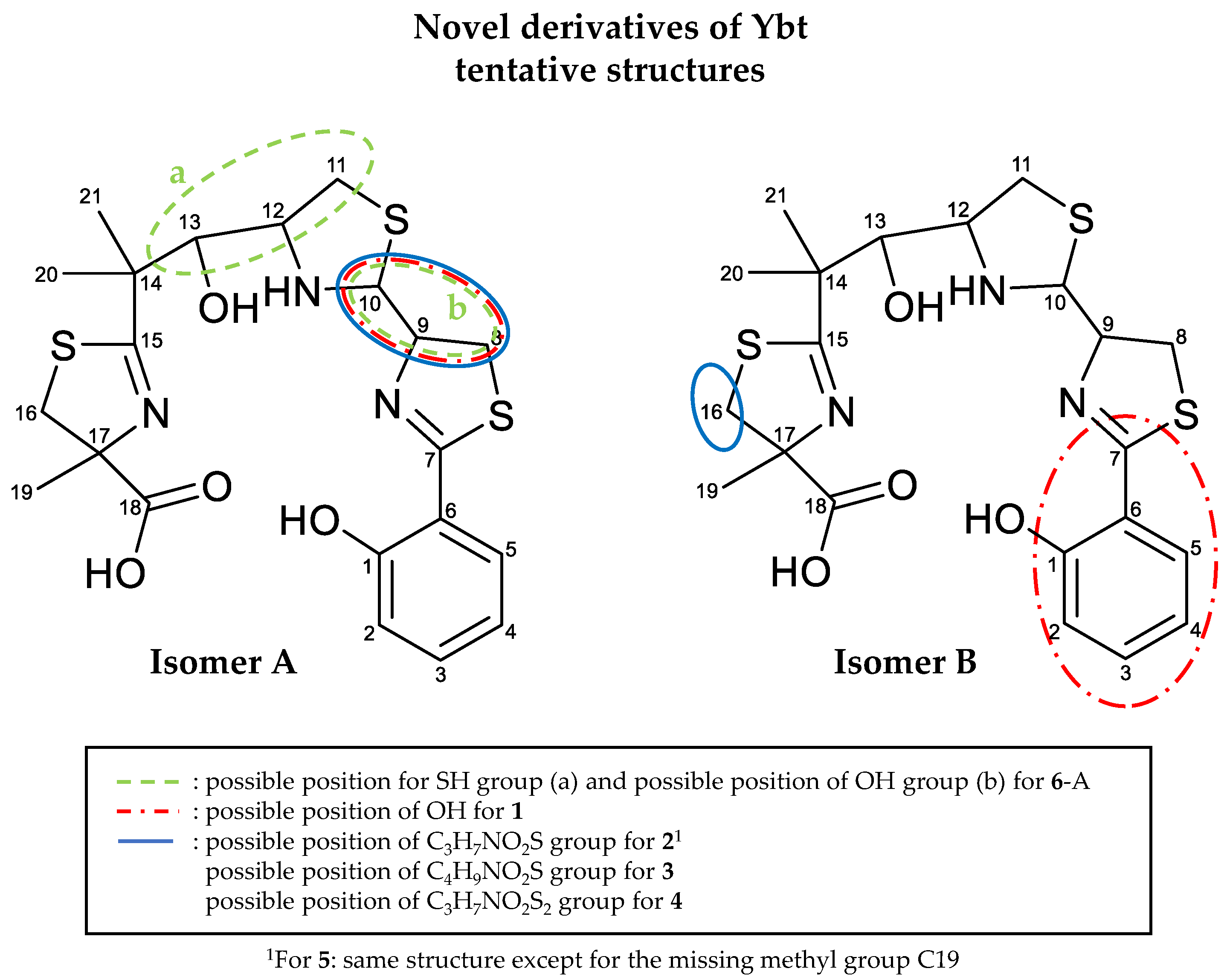 Metabolites 10 00221 g011