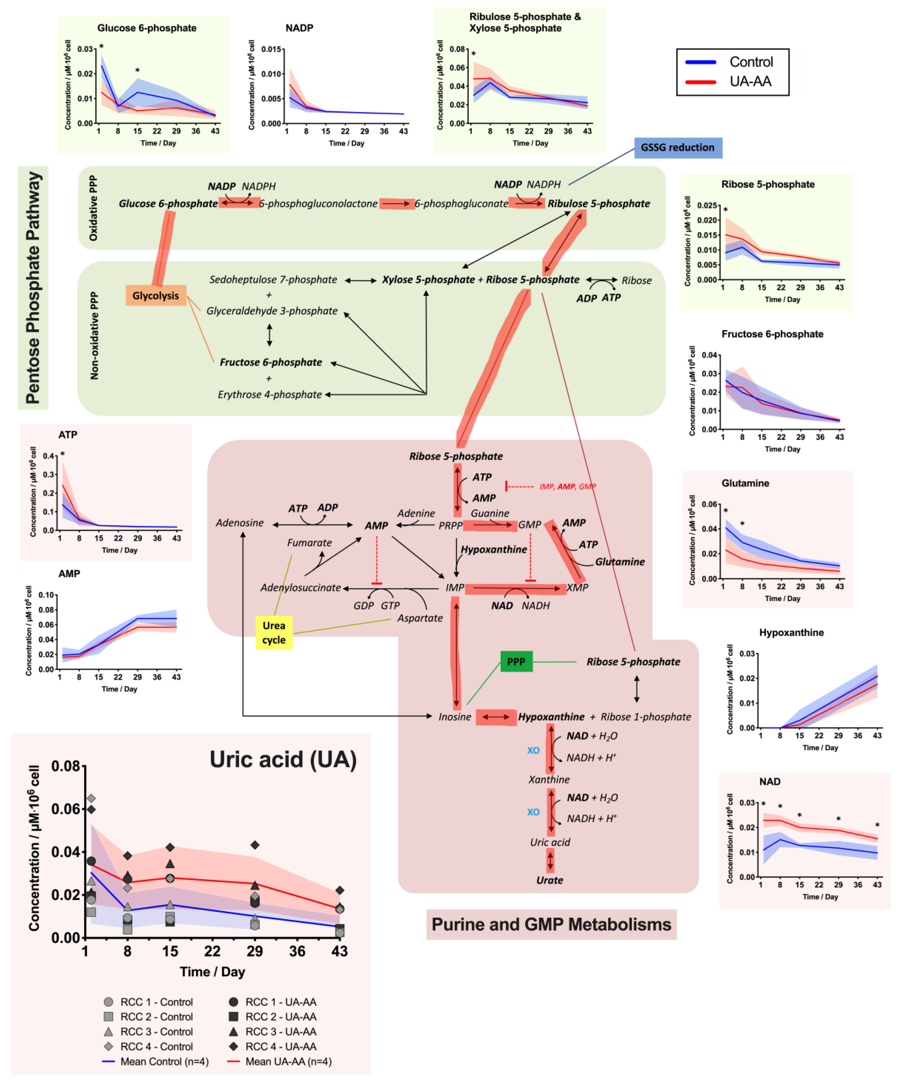 Metabolites 10 00226 g004