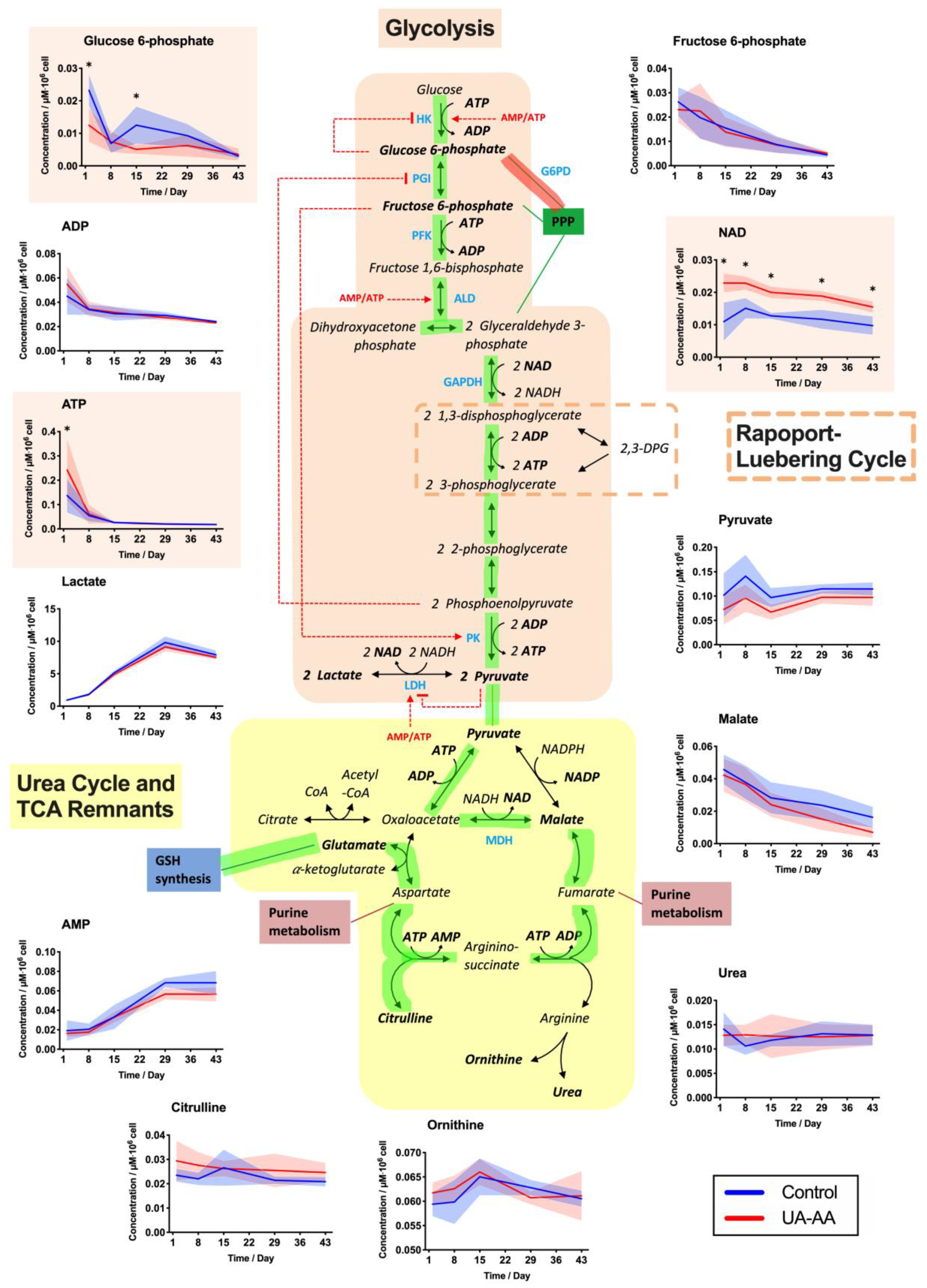 Metabolites 10 00226 g005