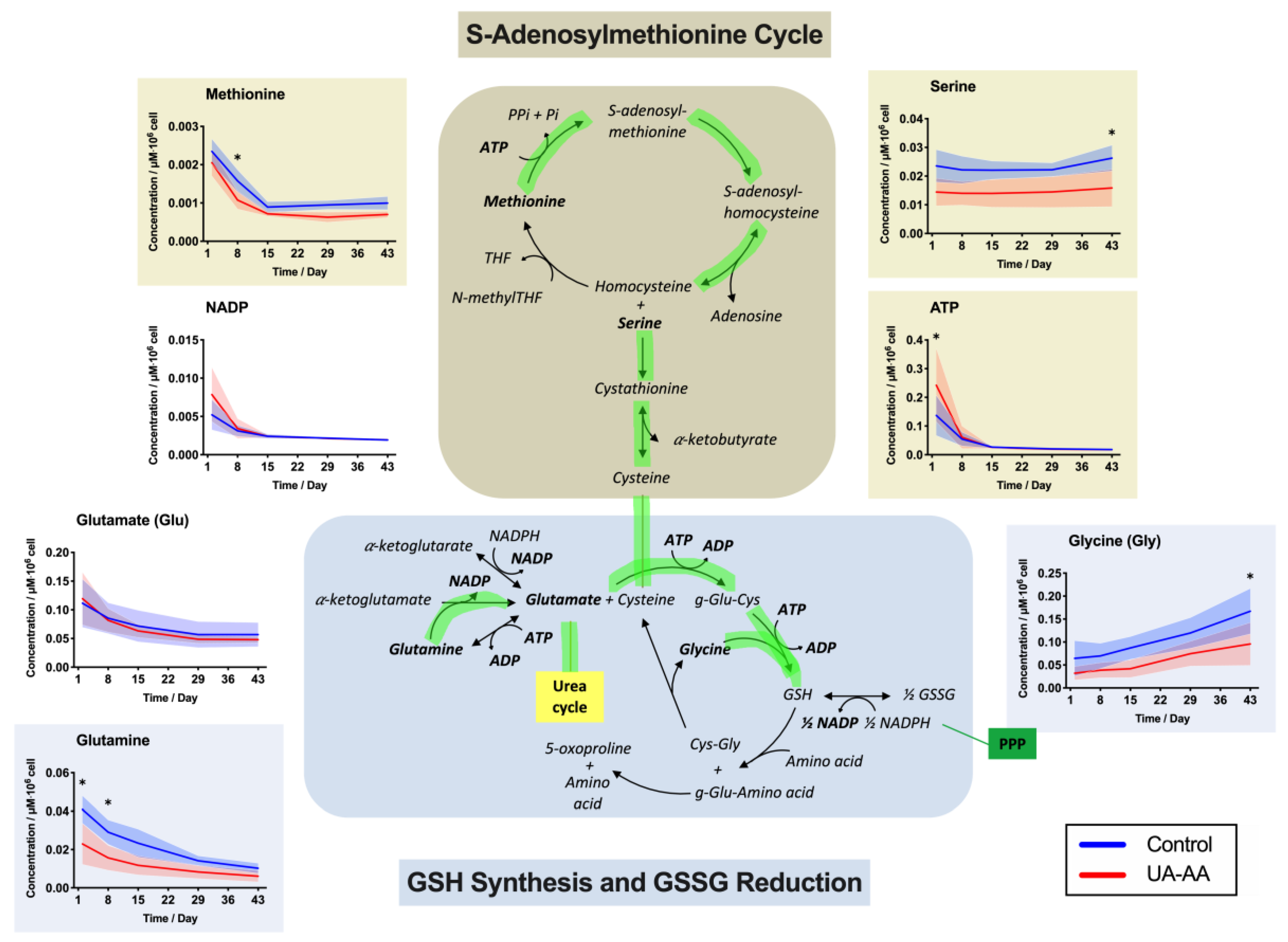 Metabolites 10 00226 g006