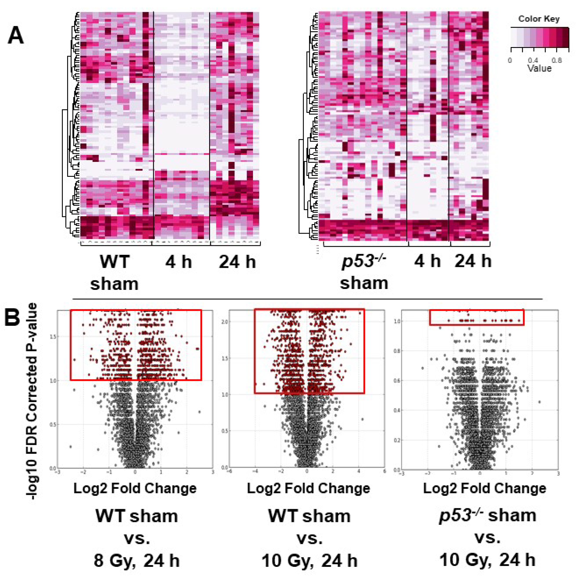 Metabolites 10 00234 g001
