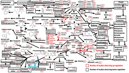 Ecometabolomics for a Better Understanding of Plant