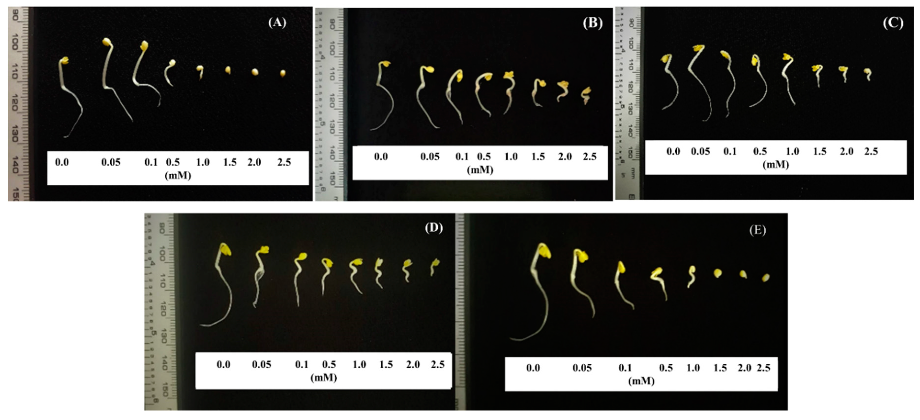 Metabolites 10 00244 g006
