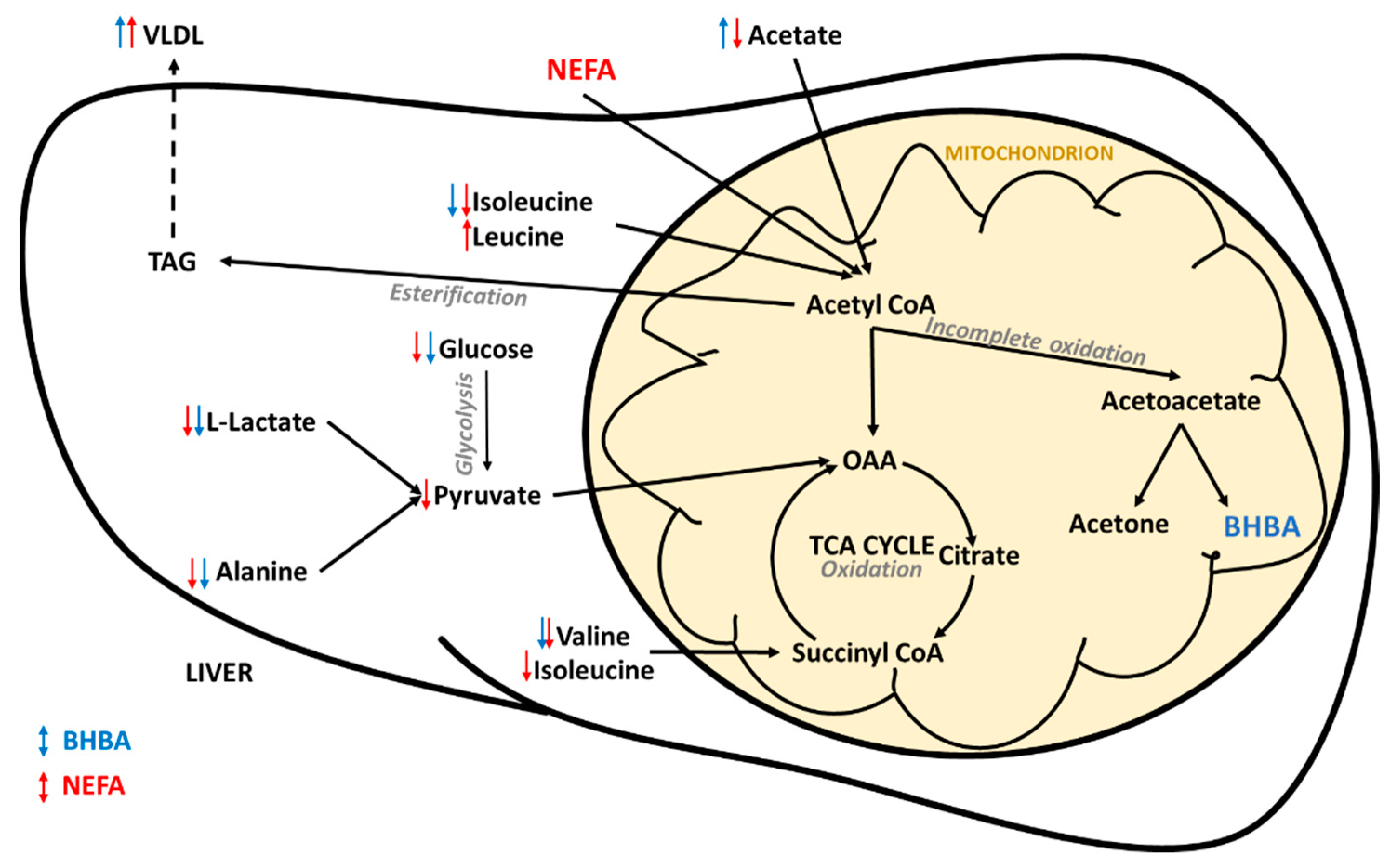 Metabolites 10 00247 g005 Metabolites 10 00247 g005