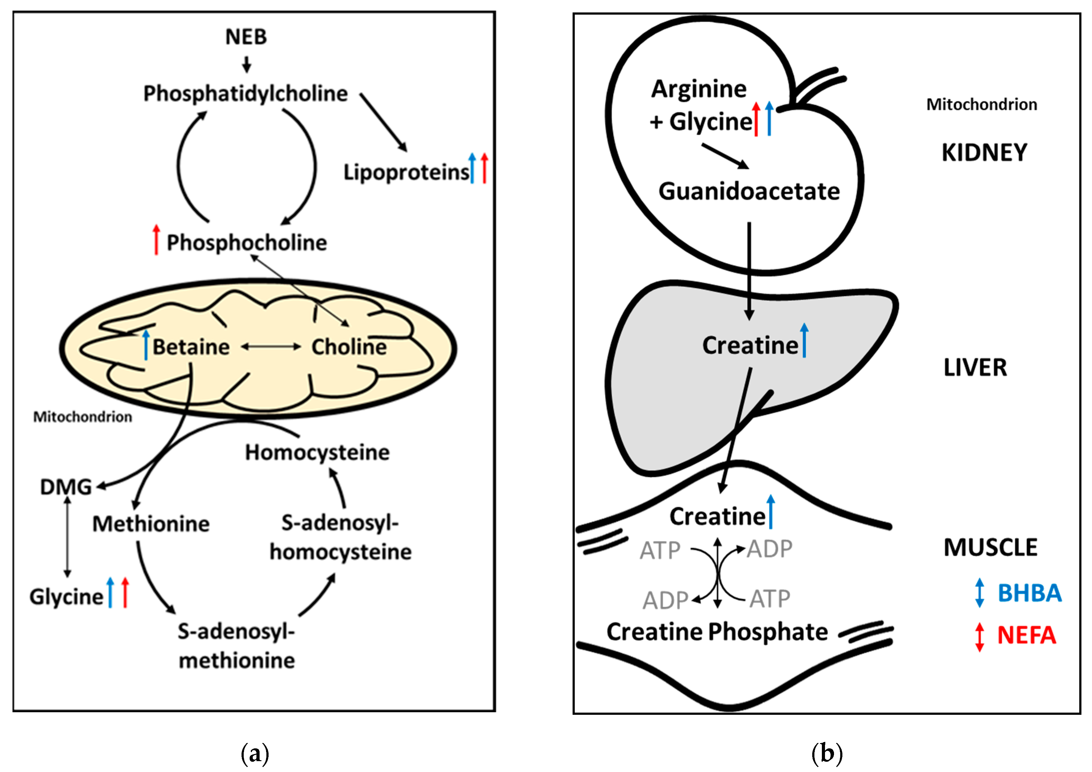 Metabolites 10 00247 g006 Metabolites 10 00247 g006