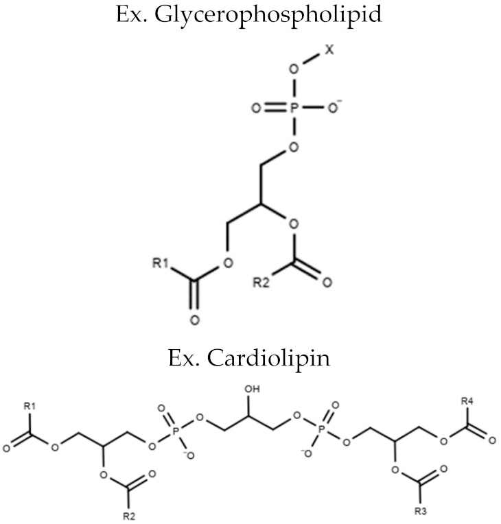 Metabolites 10 00254 i003 Metabolites 10 00254 i003